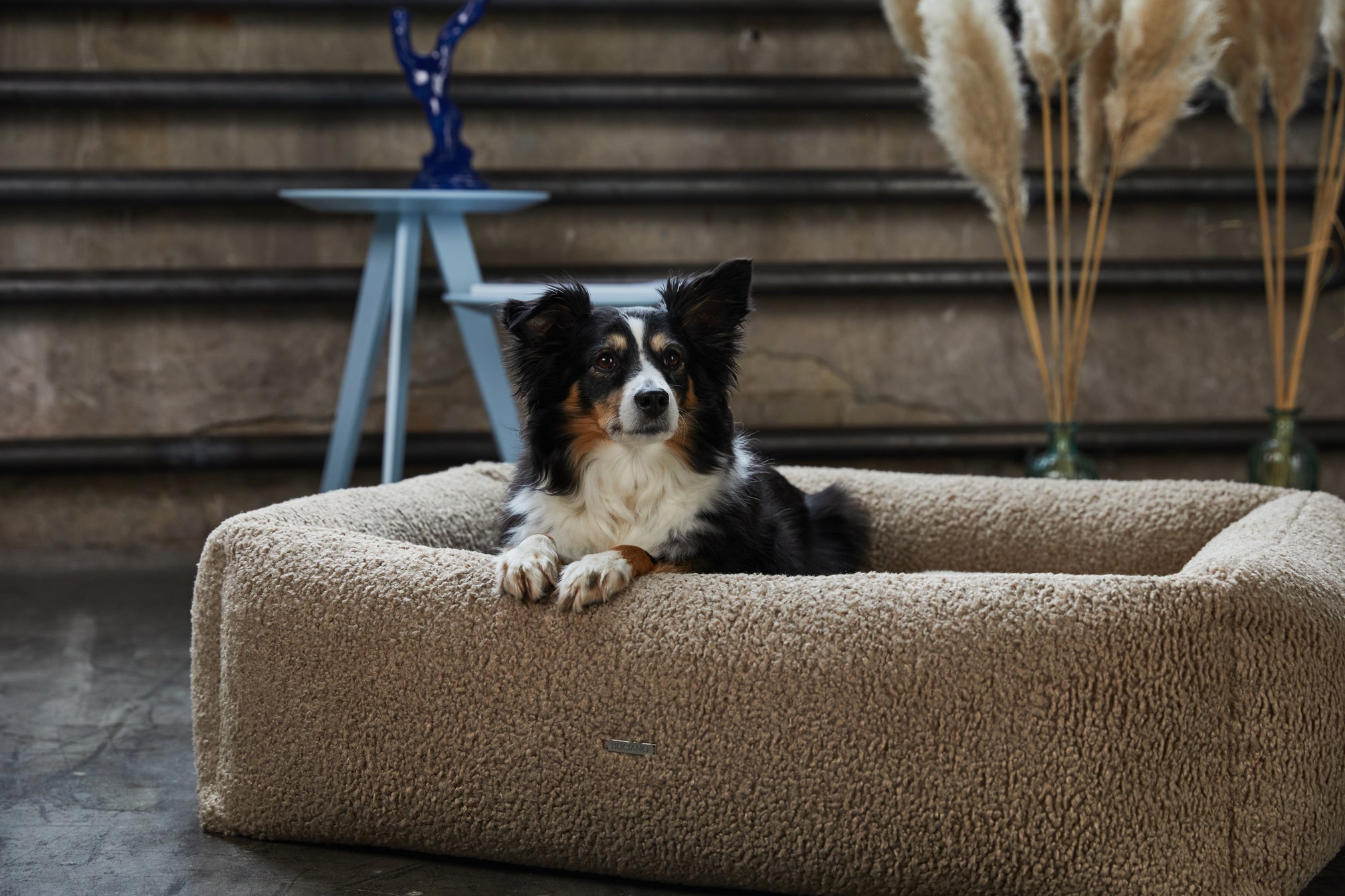 Buciano Boucl Hundebett Oreo Greige