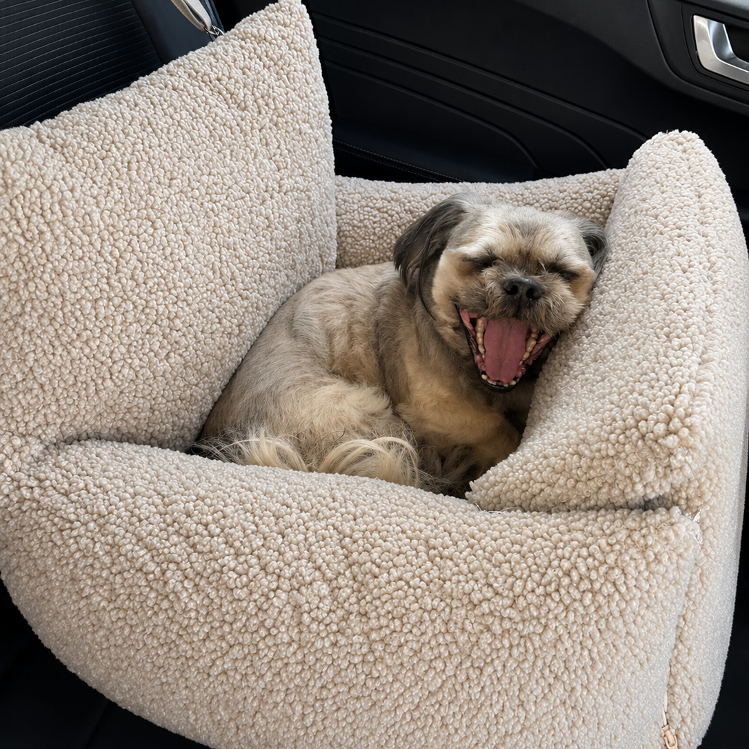Samtpfote 2-in-1 Hunde Transportbox/-tasche für Autositz Teddy - 45x50x45cm