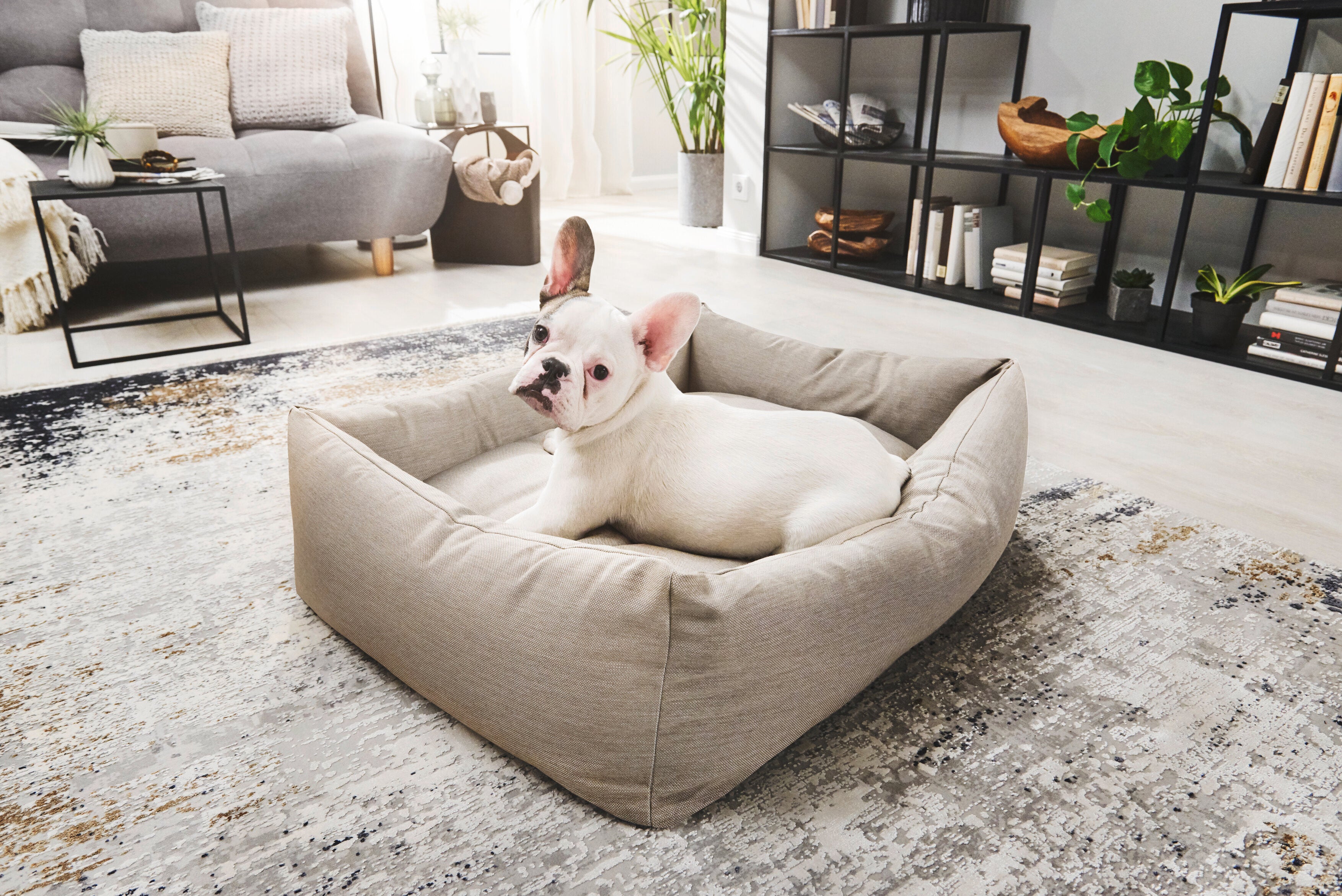 LABONI Classic Hundebett - SMOOTH