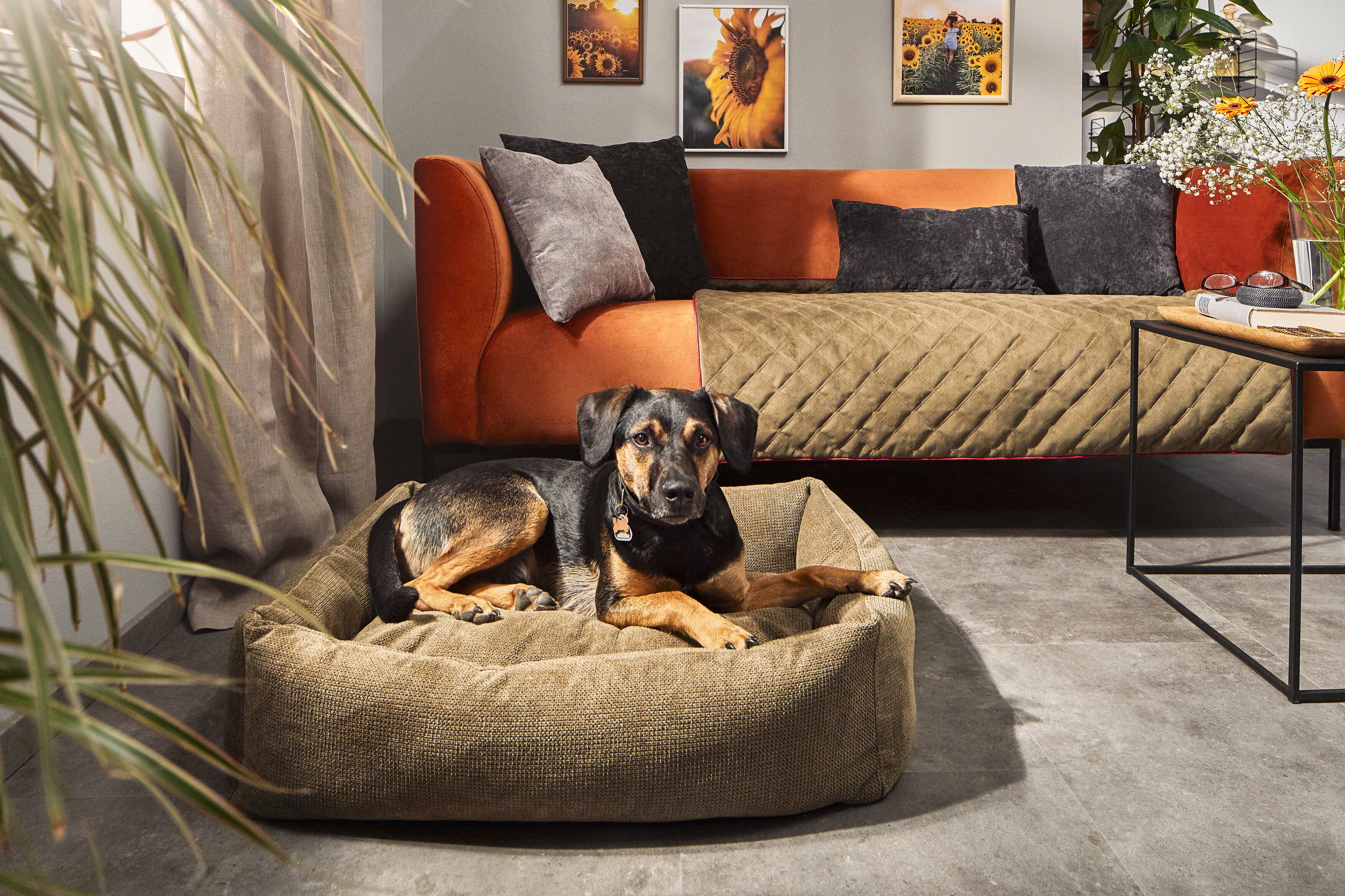LABONI Classic Hundebett - TUDOR
