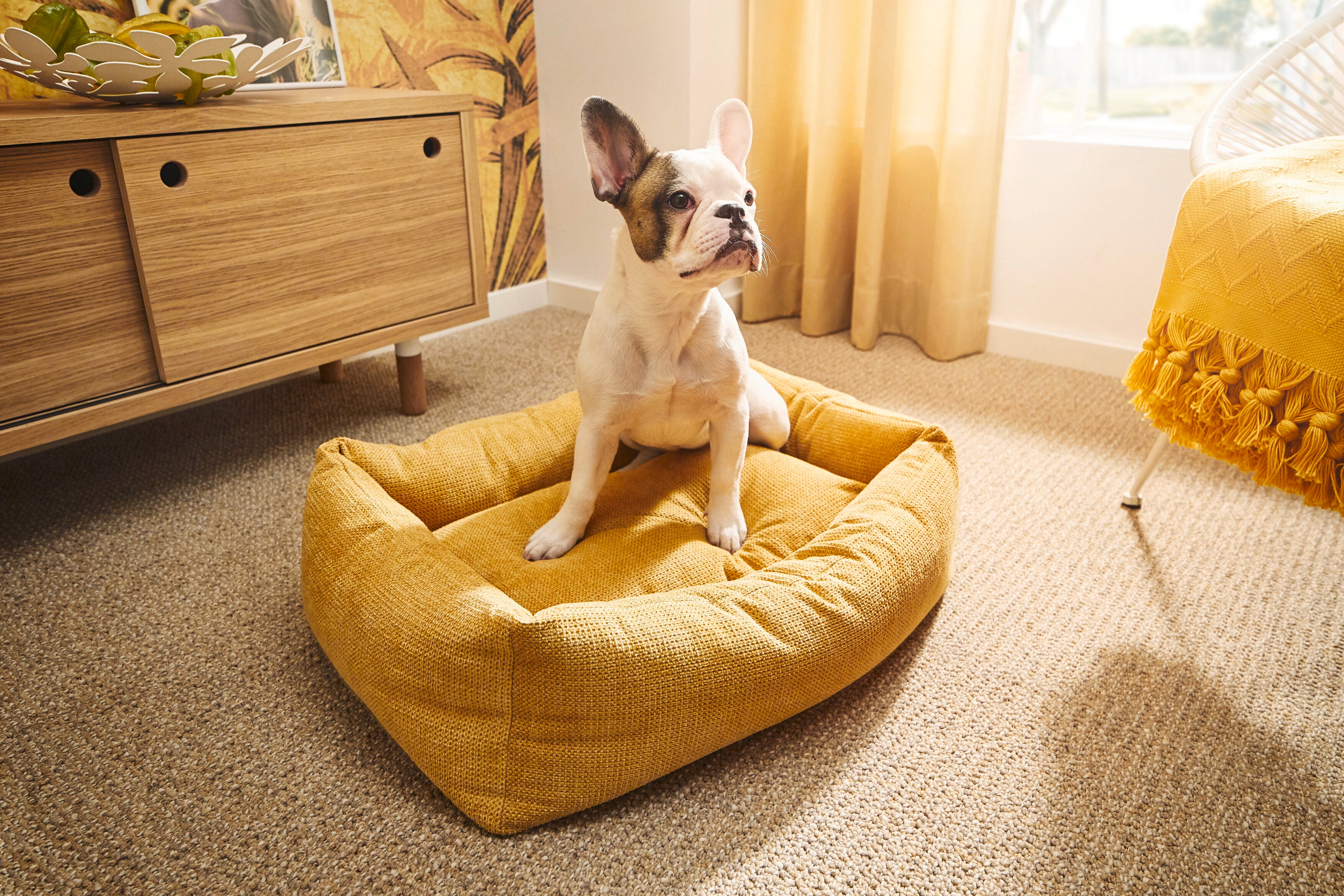 LABONI Classic Hundebett - TUDOR
