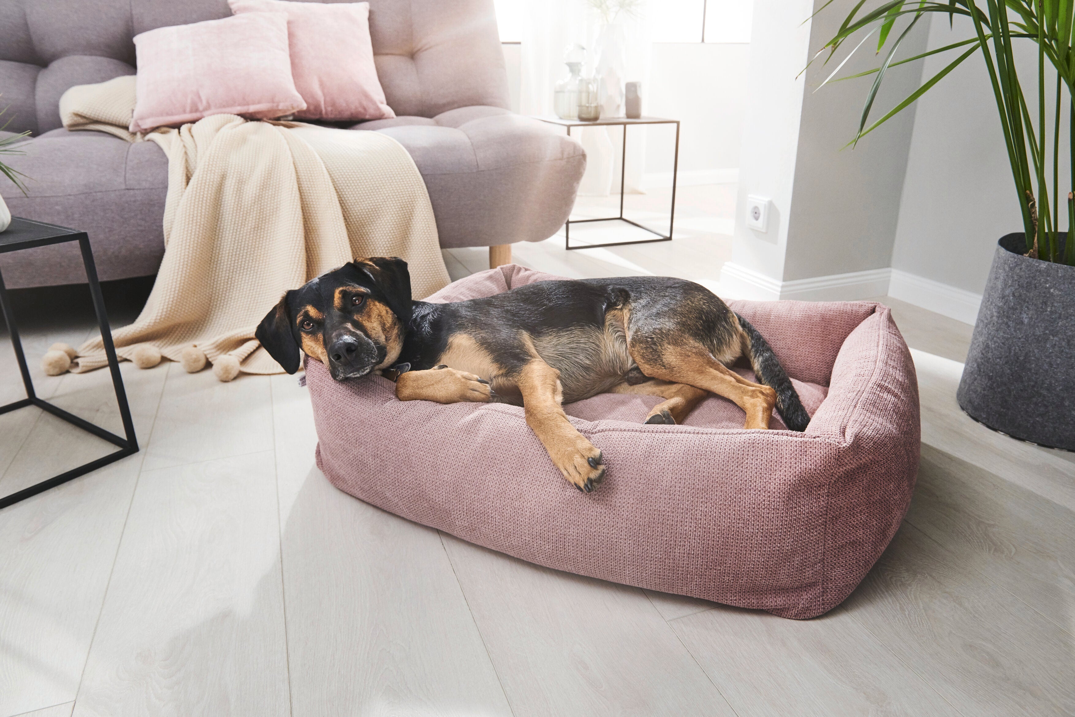 LABONI Classic Hundebett - TUDOR