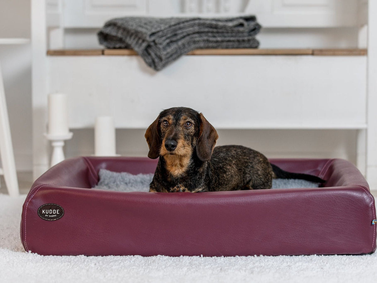 Hundebett KUDDE Kunstleder (weitere Ansicht)