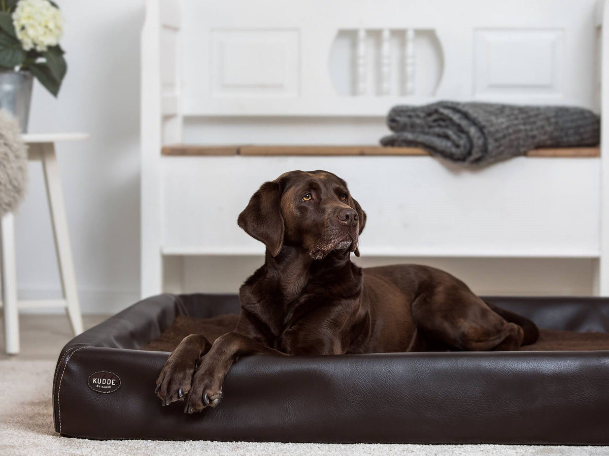 Hundebett KUDDE Kunstleder (weitere Ansicht)