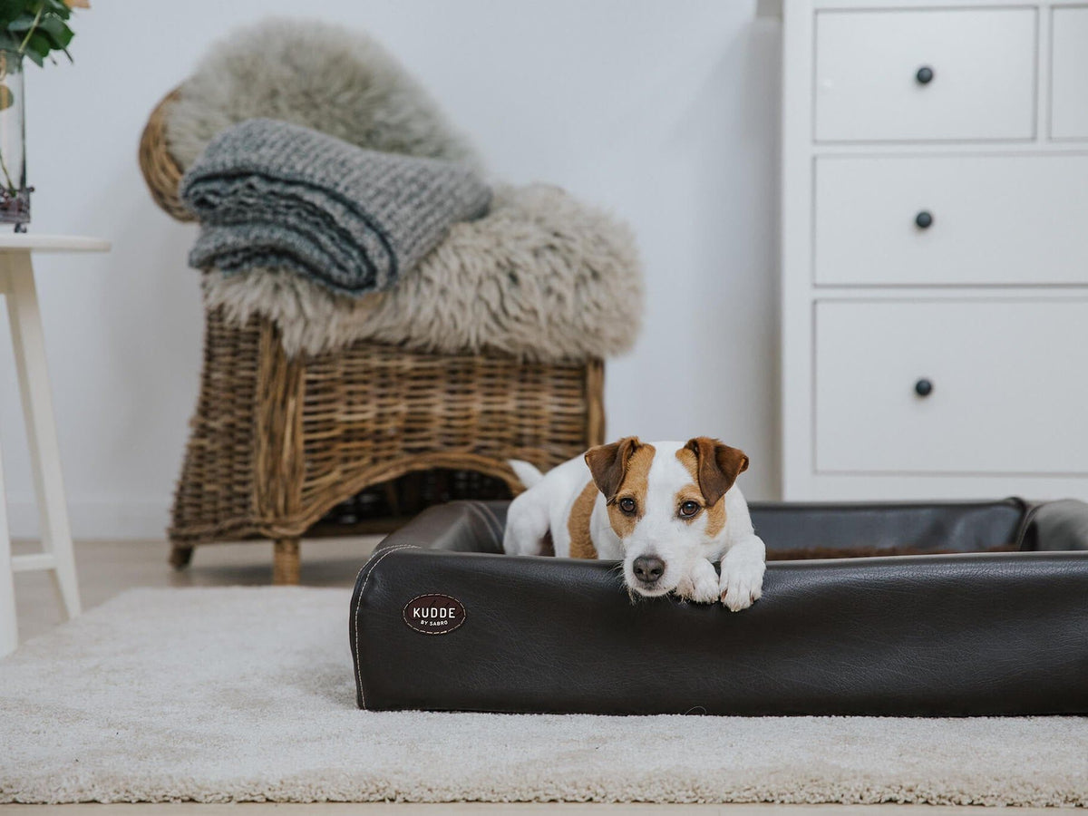 Hundebett KUDDE Kunstleder (weitere Ansicht)