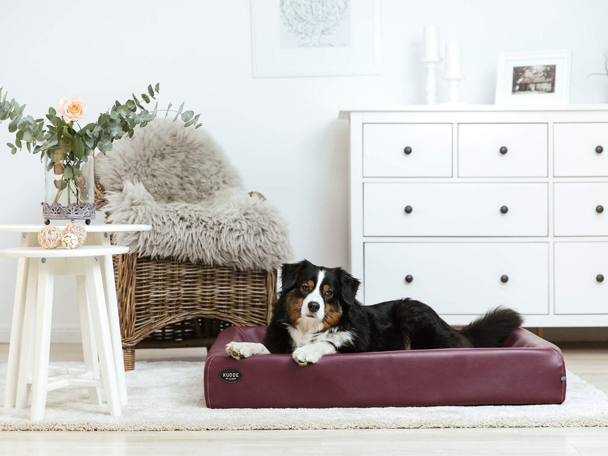 Hundebett KUDDE Kunstleder (weitere Ansicht)