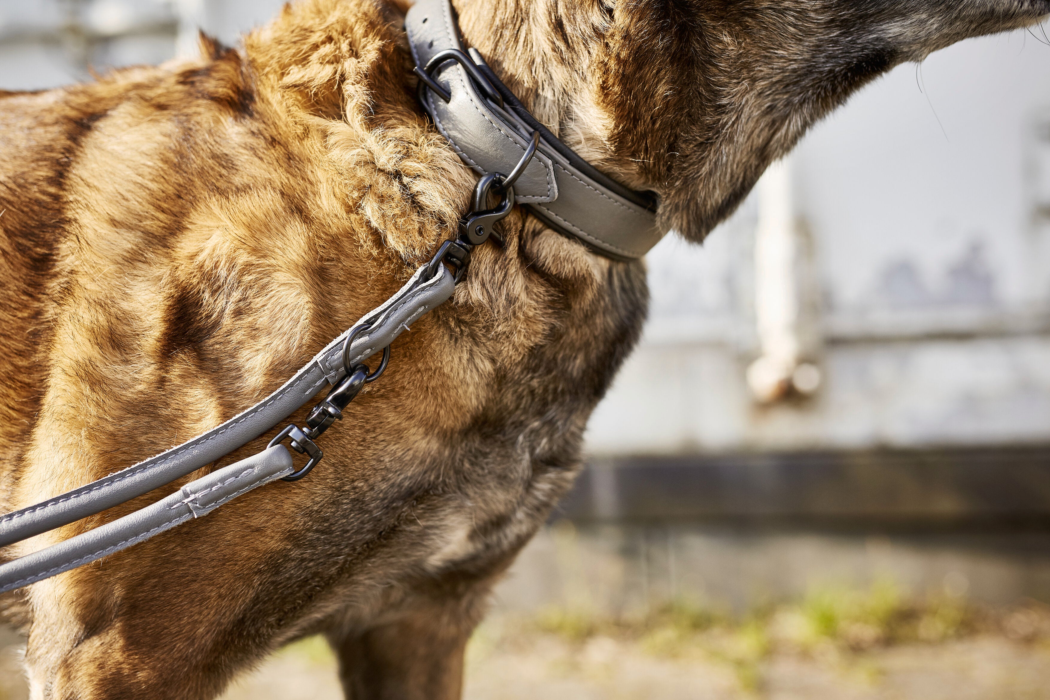 LABONI Amici - Stilvolles Nappa-Halsband