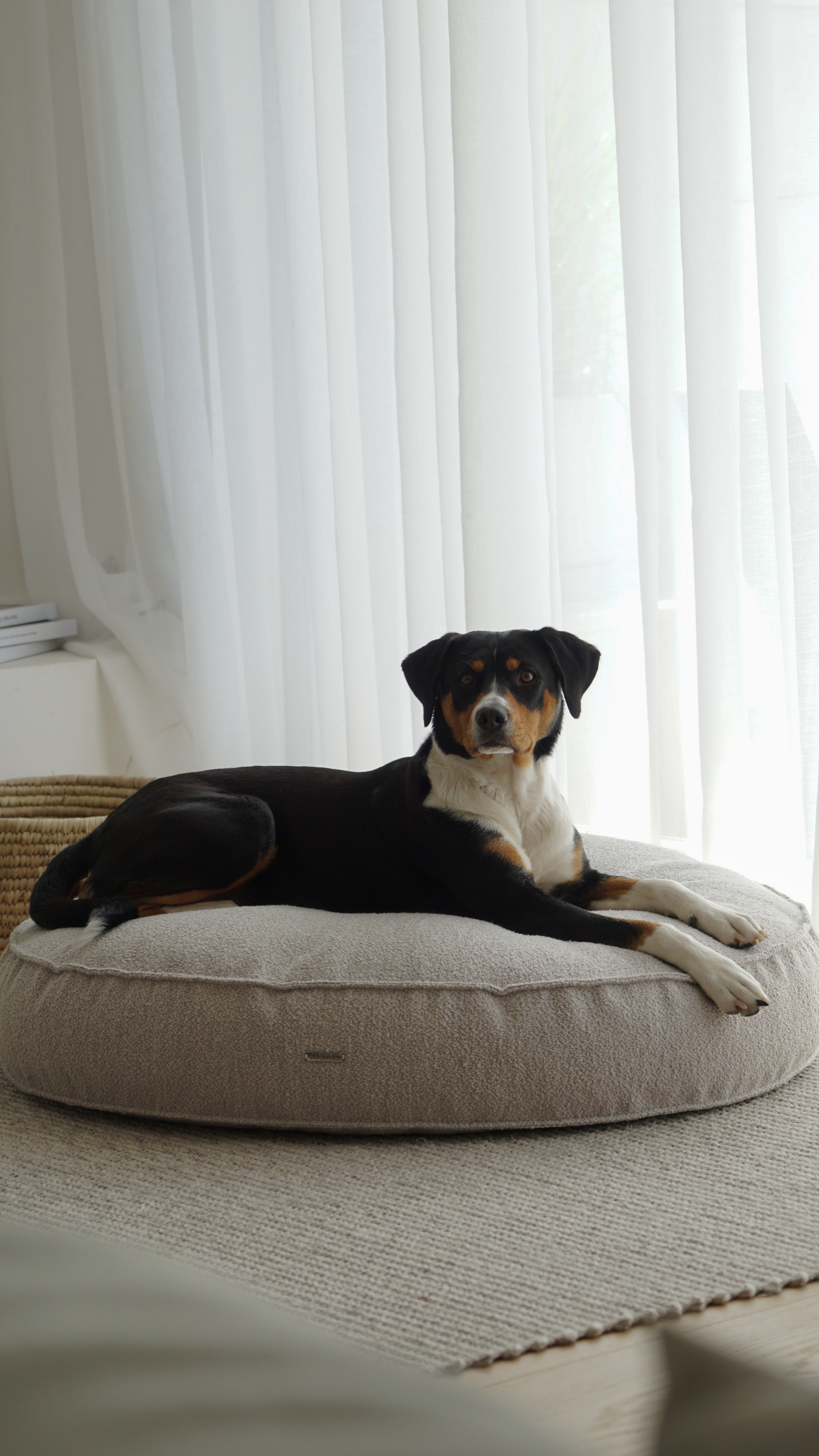 Buciano Bouclé Hundekissen Amy Kiesel