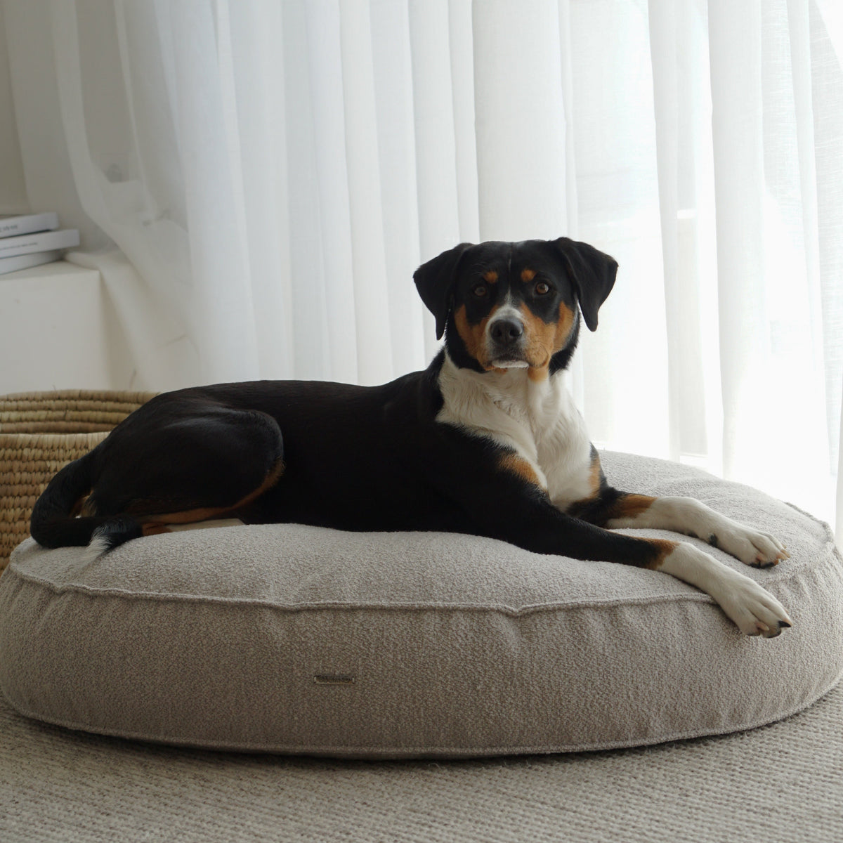 Buciano Bouclé Hundekissen Amy
