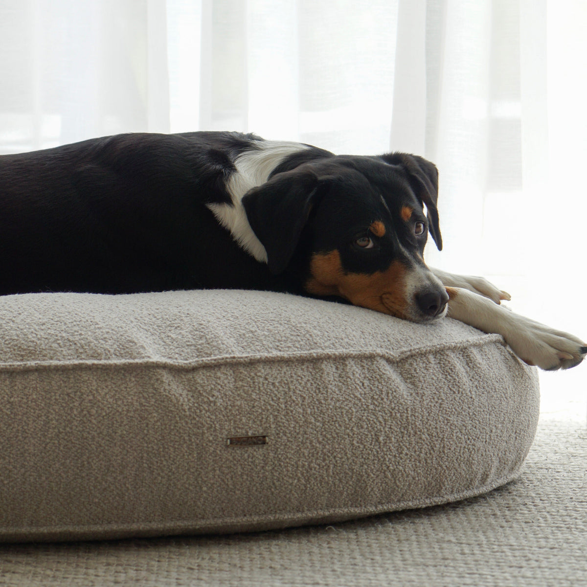 Buciano Bouclé Hundekissen Amy