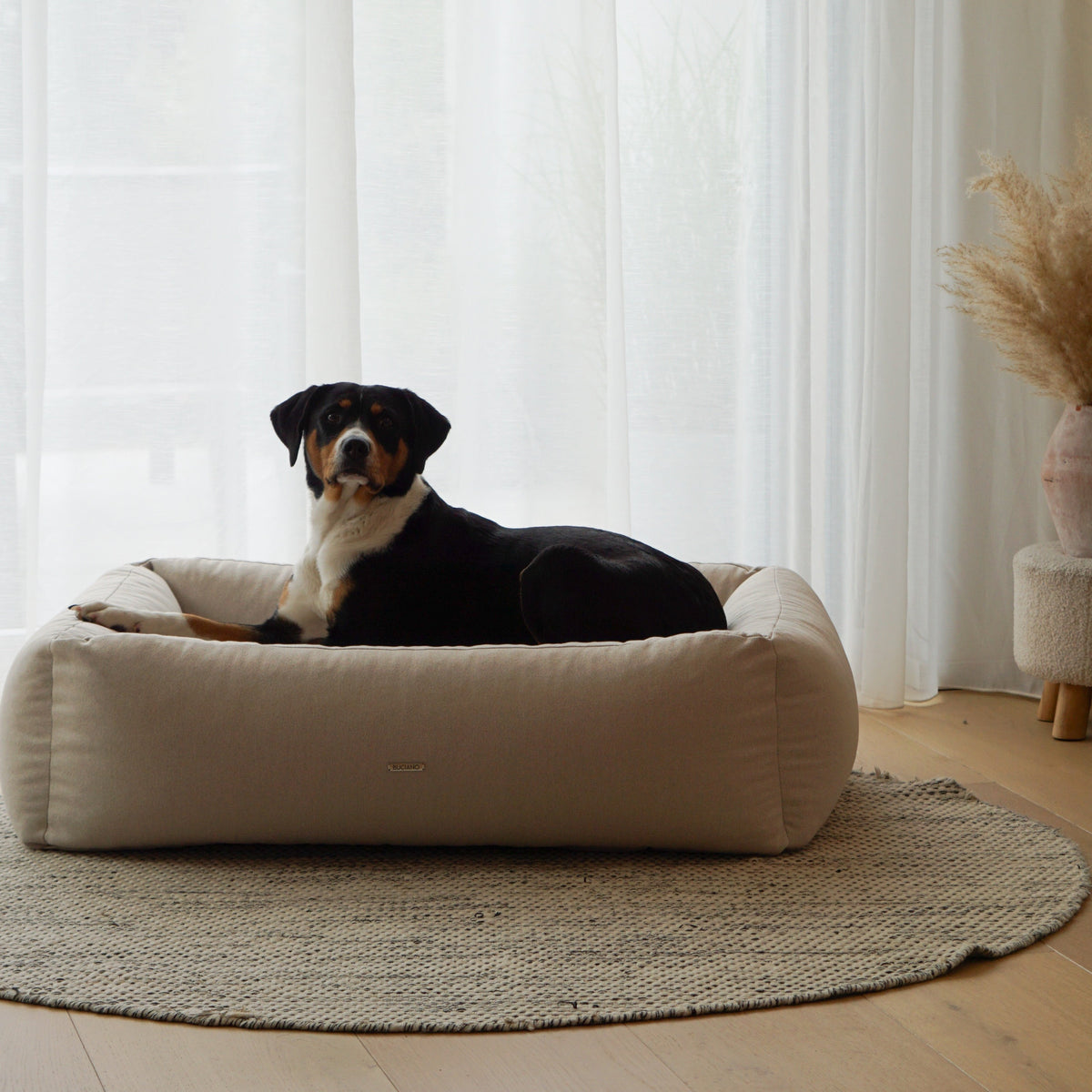 Buciano Hundebett Contar