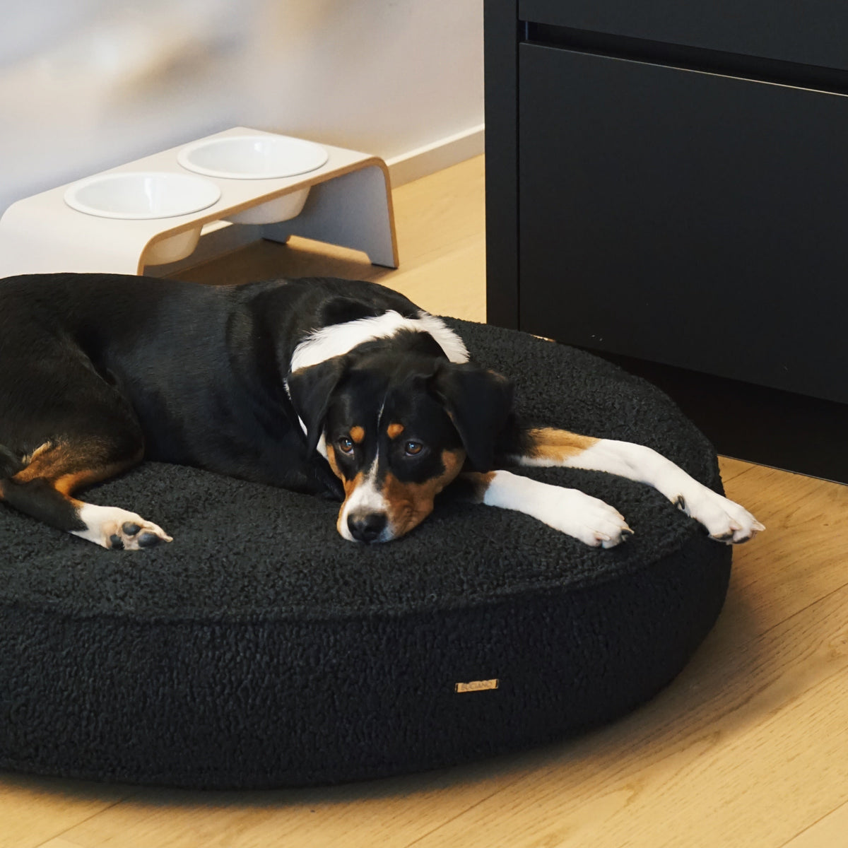 Buciano Hundekissen Onda