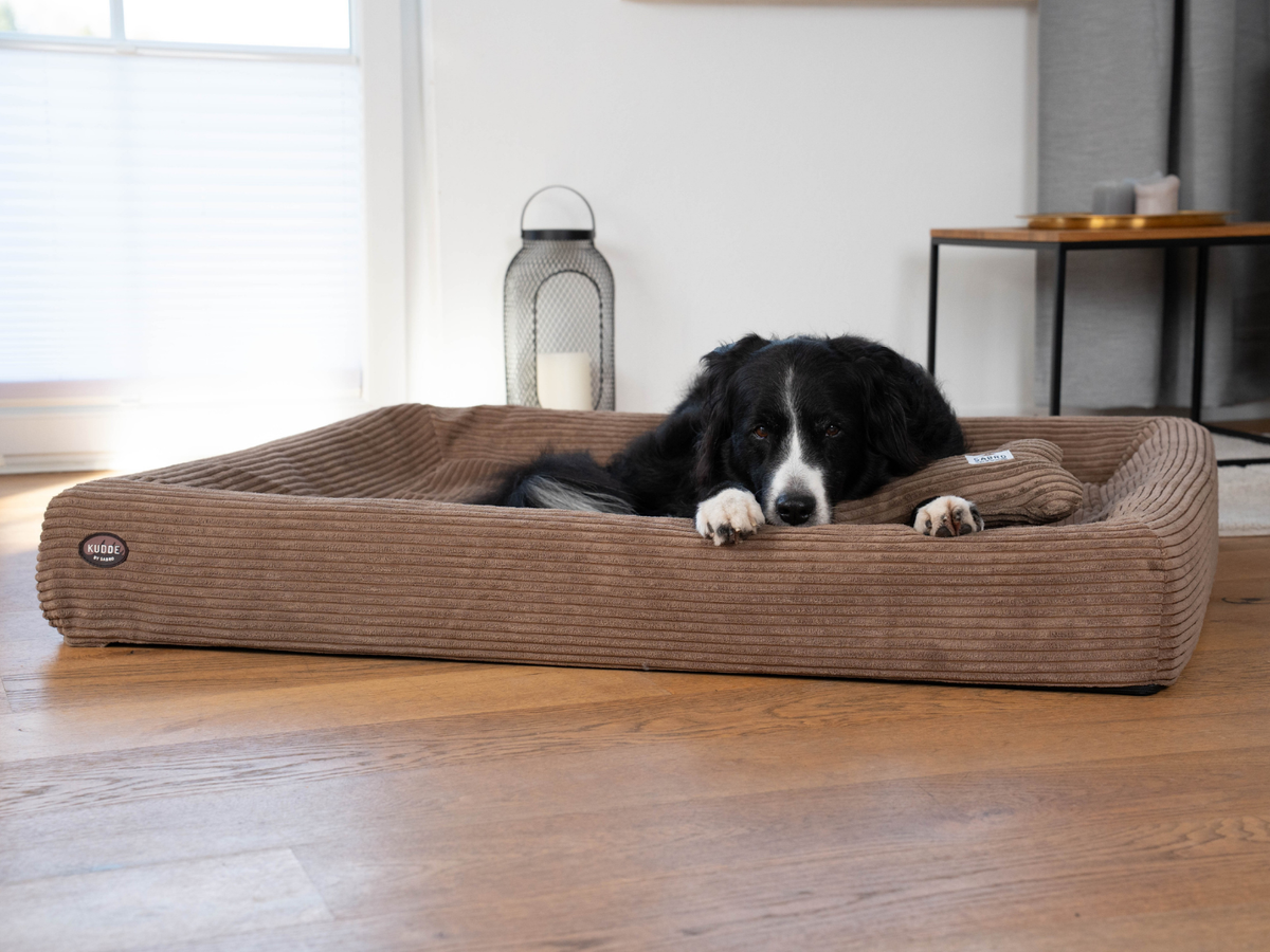 Hundebett KUDDE Cord (weitere Ansicht)