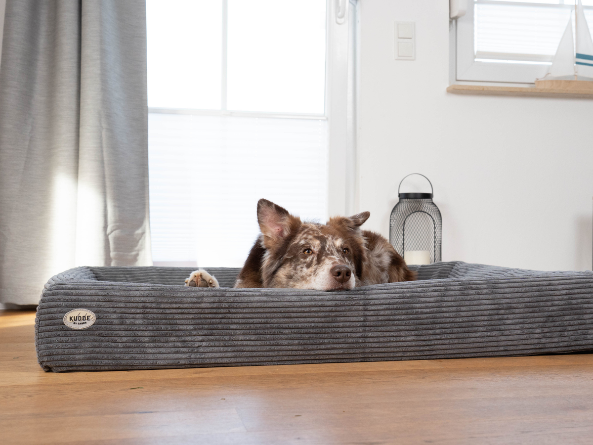 Hundebett KUDDE Cord (weitere Ansicht)