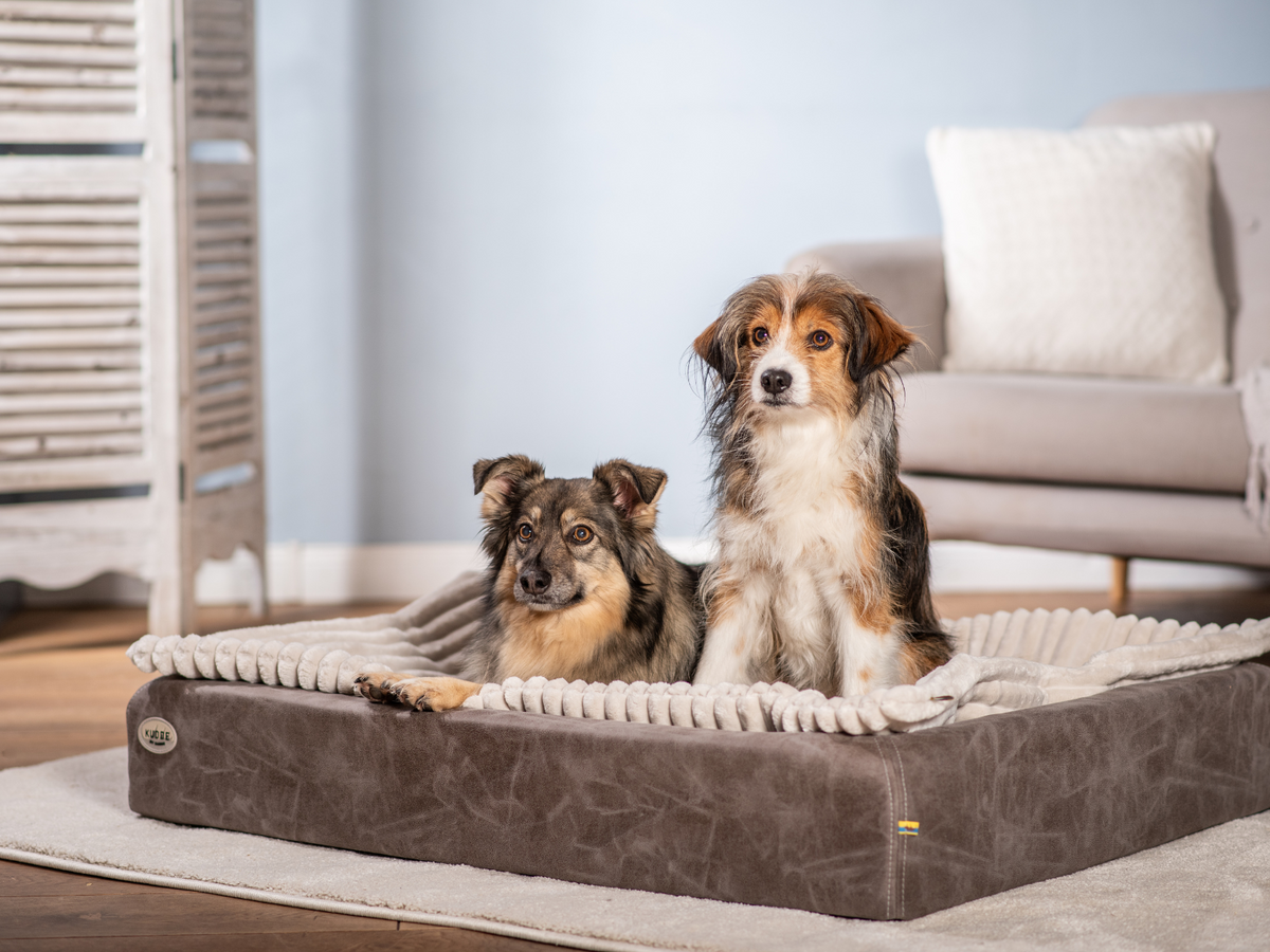 Hundebett KUDDE veganes Wildleder (weitere Ansicht)