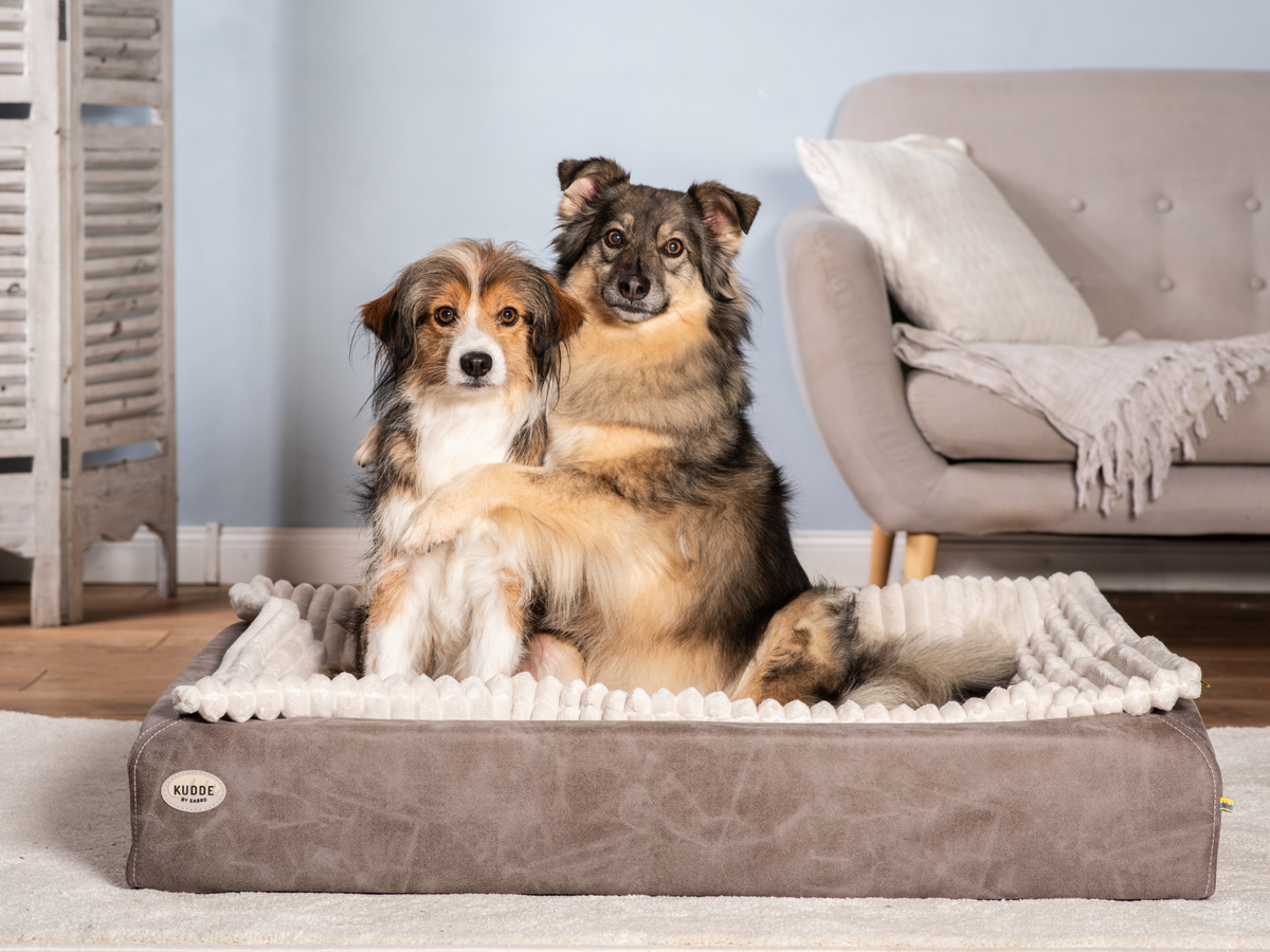 Hundebett KUDDE veganes Wildleder (weitere Ansicht)