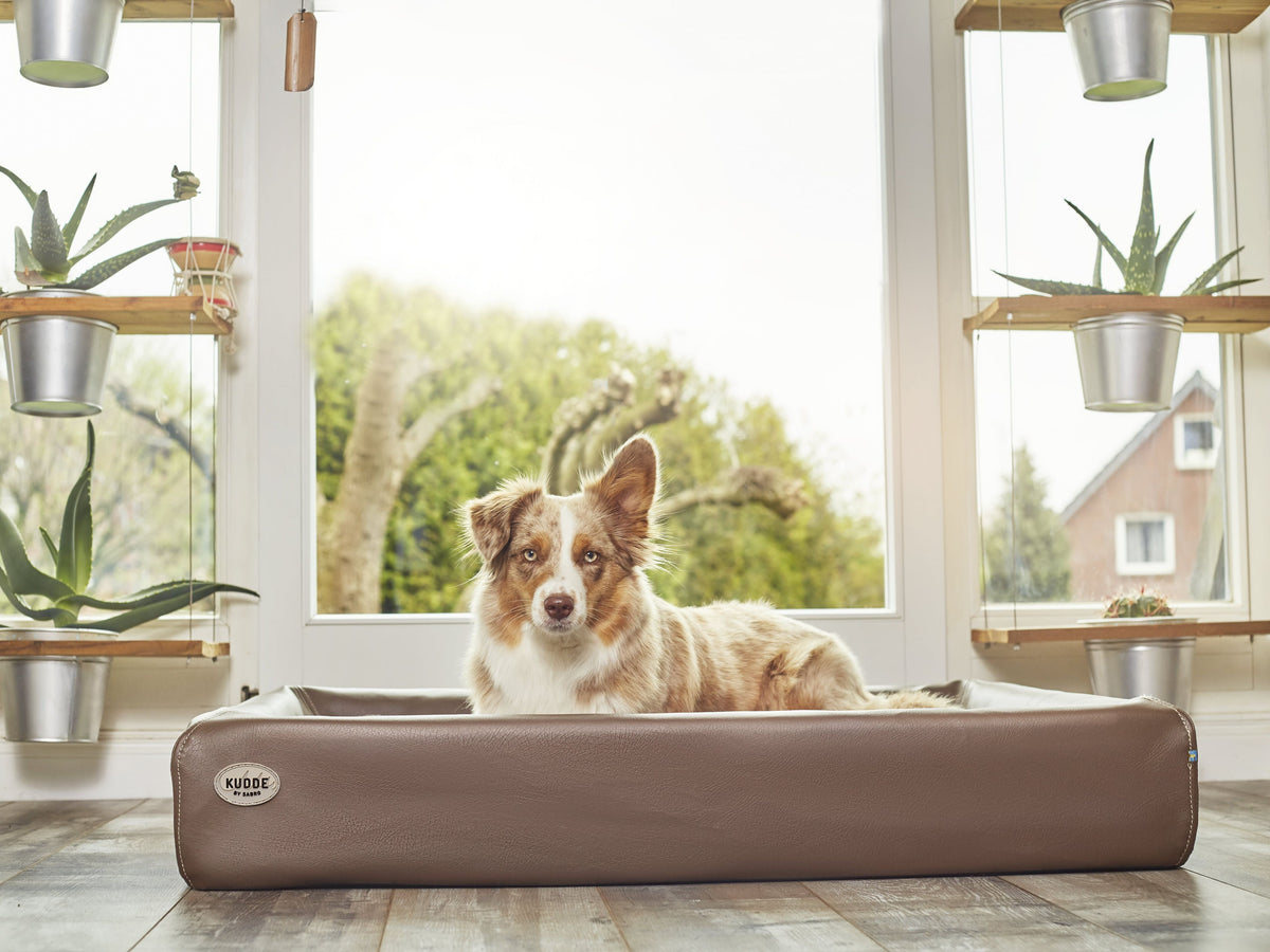 Hundebett KUDDE Kunstleder (weitere Ansicht)