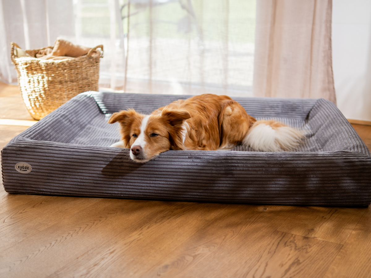 Hundebett KUDDE Cord (weitere Ansicht)