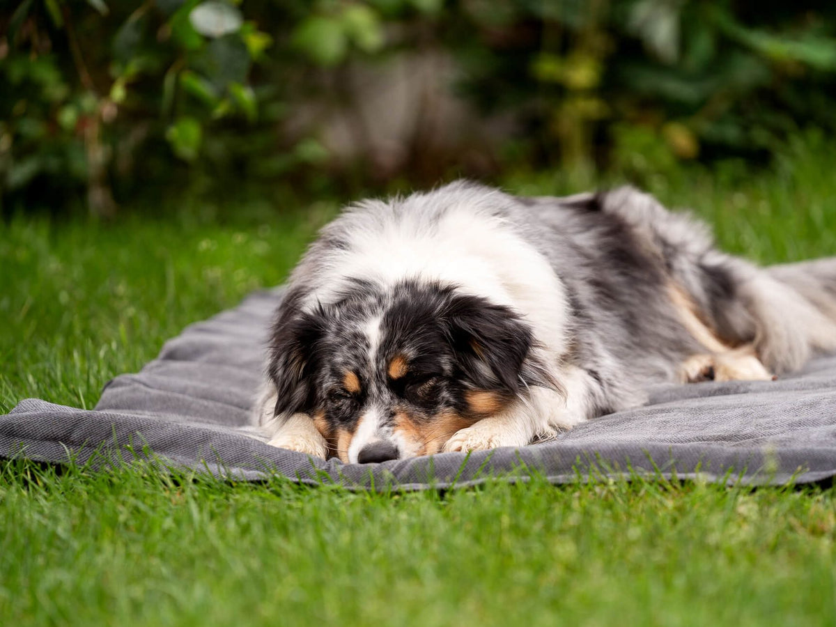 Outdoormatte SKOLAN