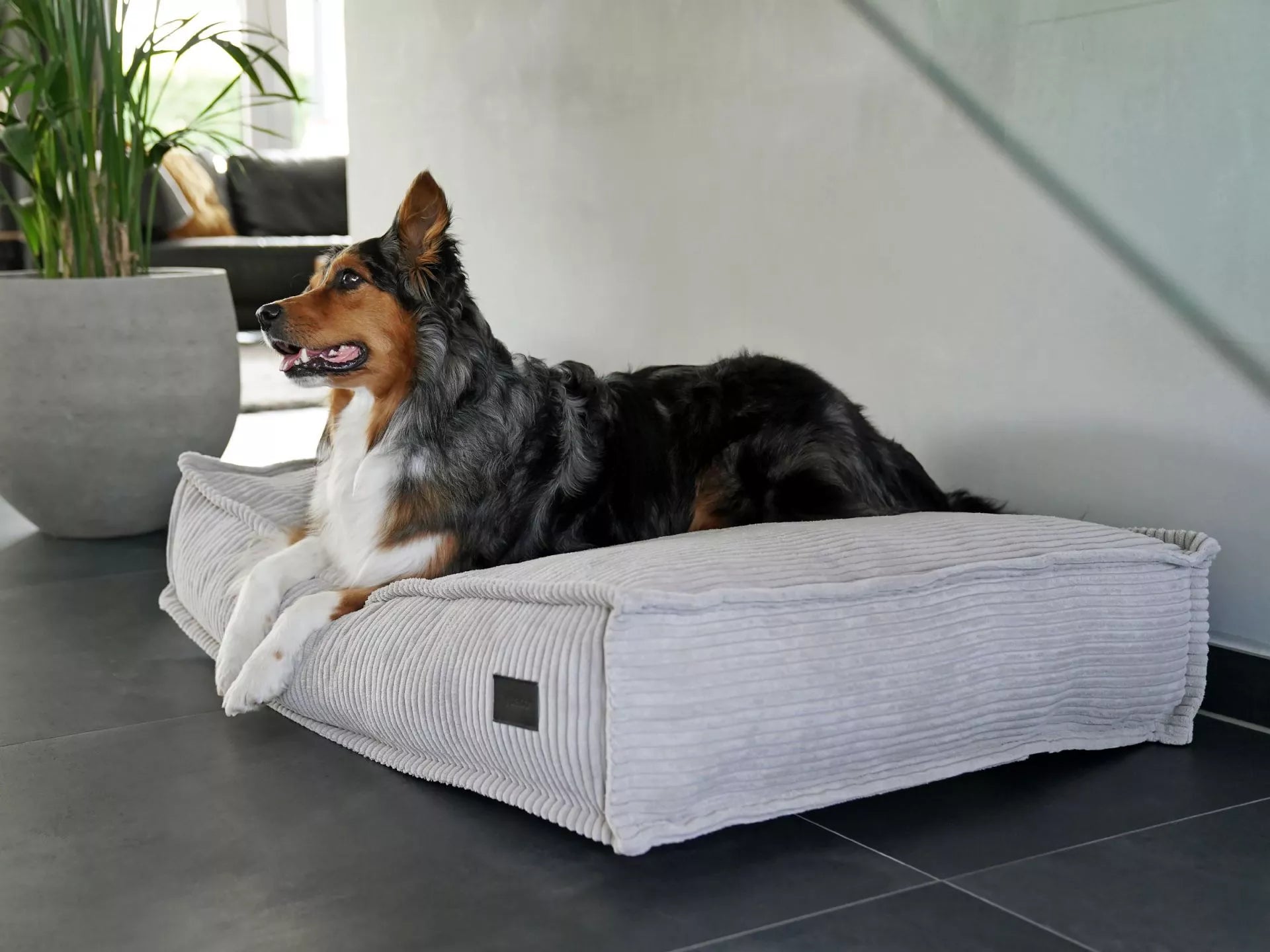 mypado Flow Cord Hundekissen Visco 120x80 cm - Silber