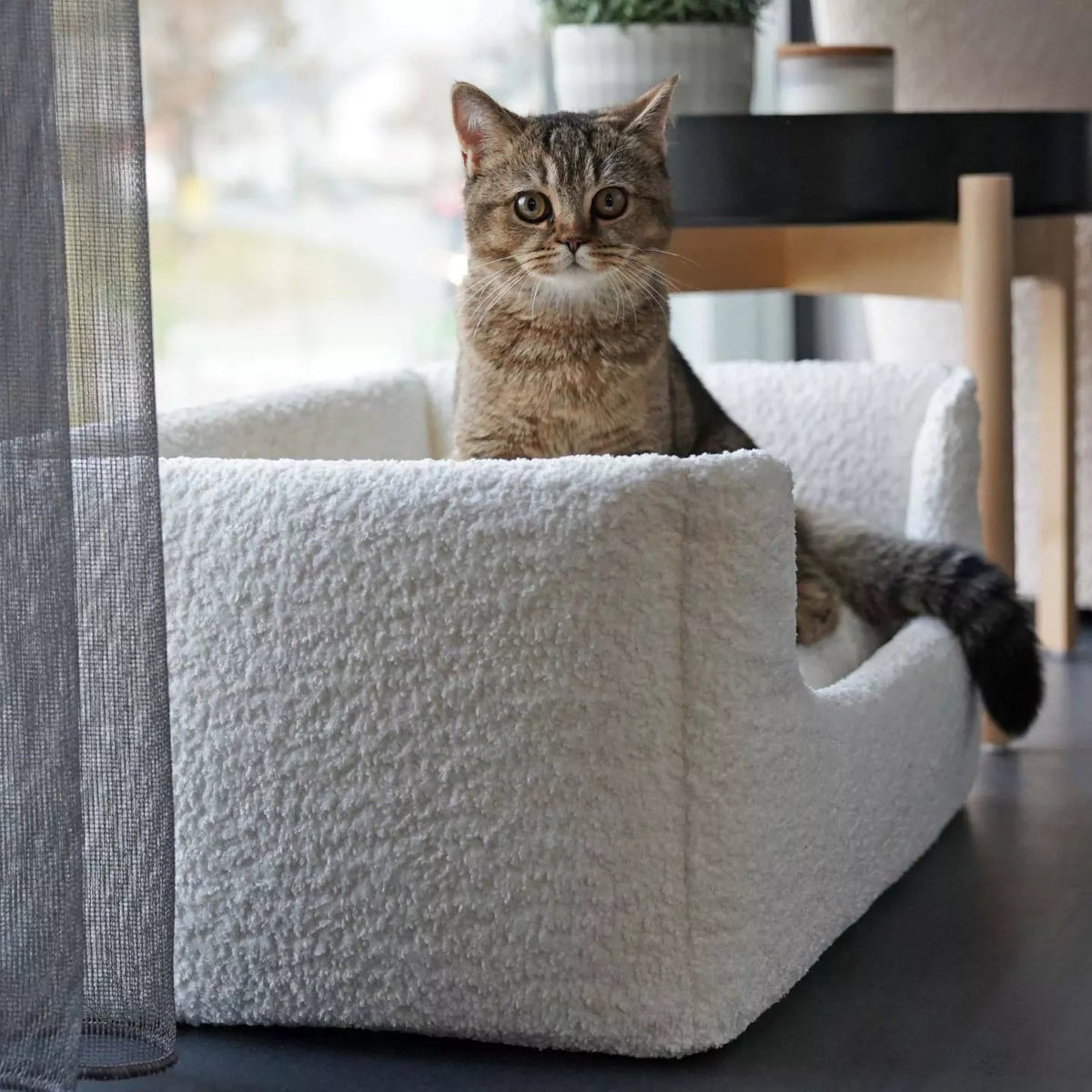 mypado Shara Bouclé Katzenbett