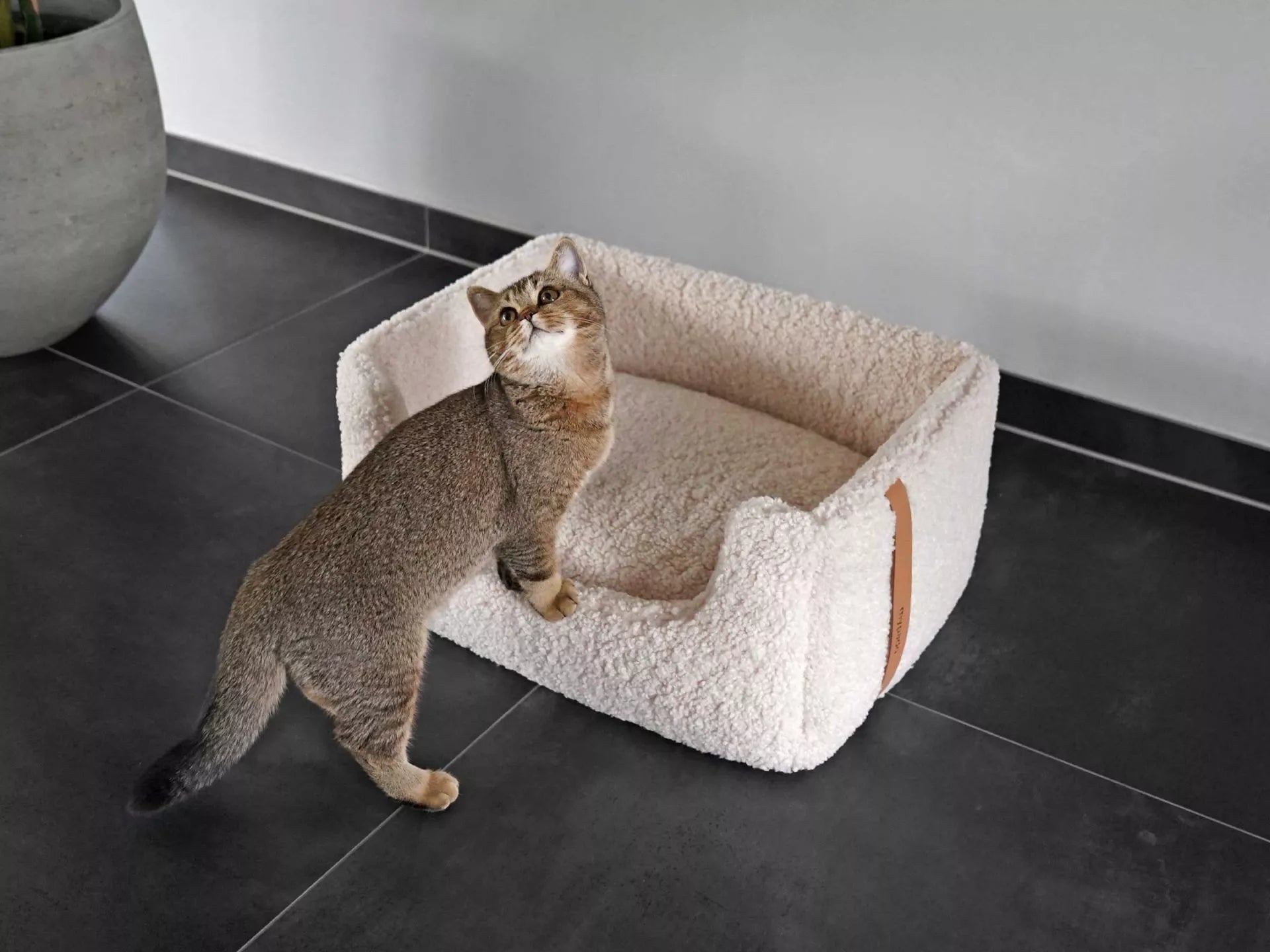 mypado Shara Woolly Katzenbett Anthrazit