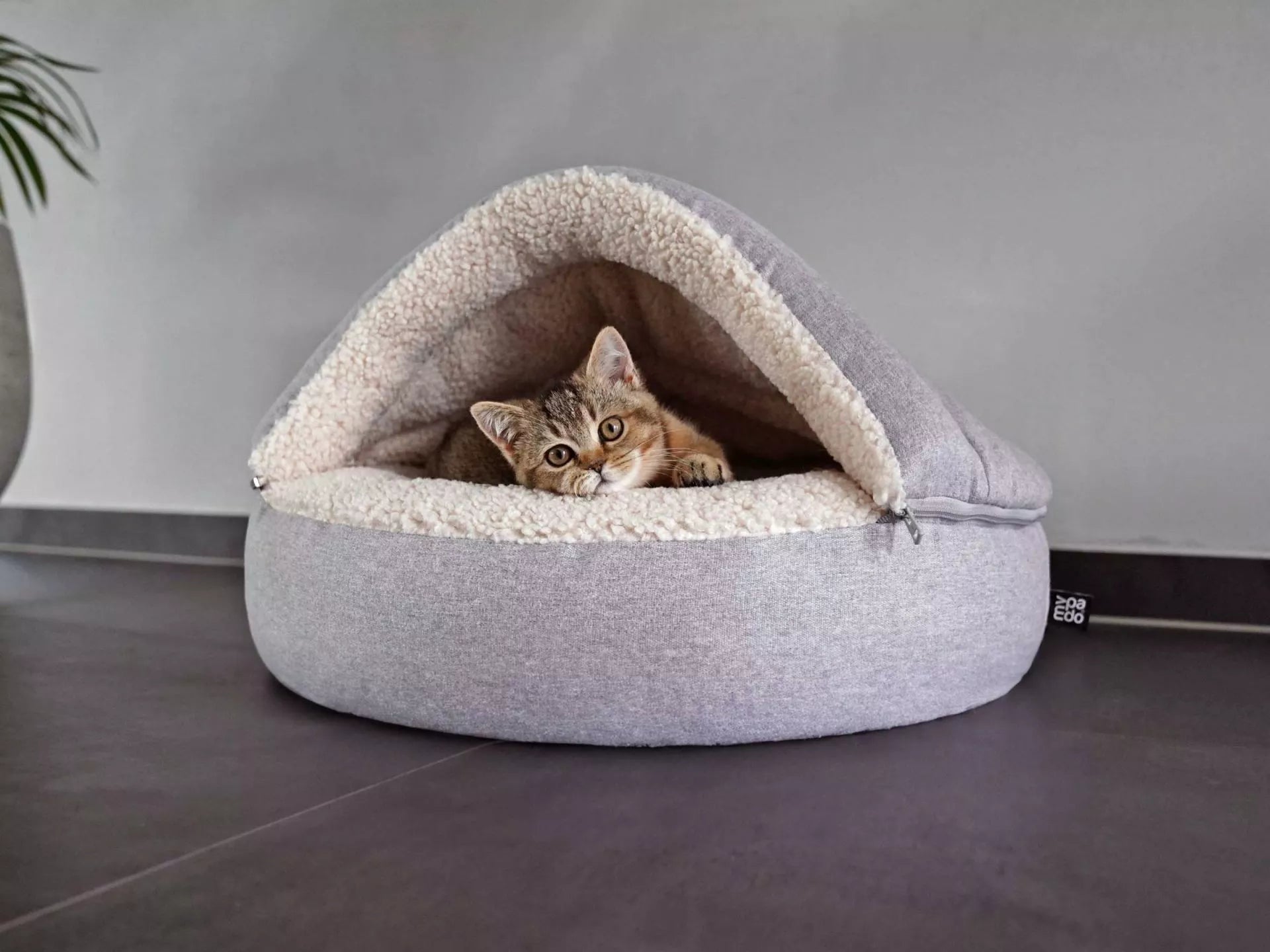 mypado Shell Silver Katzenhöhle Anthrazit