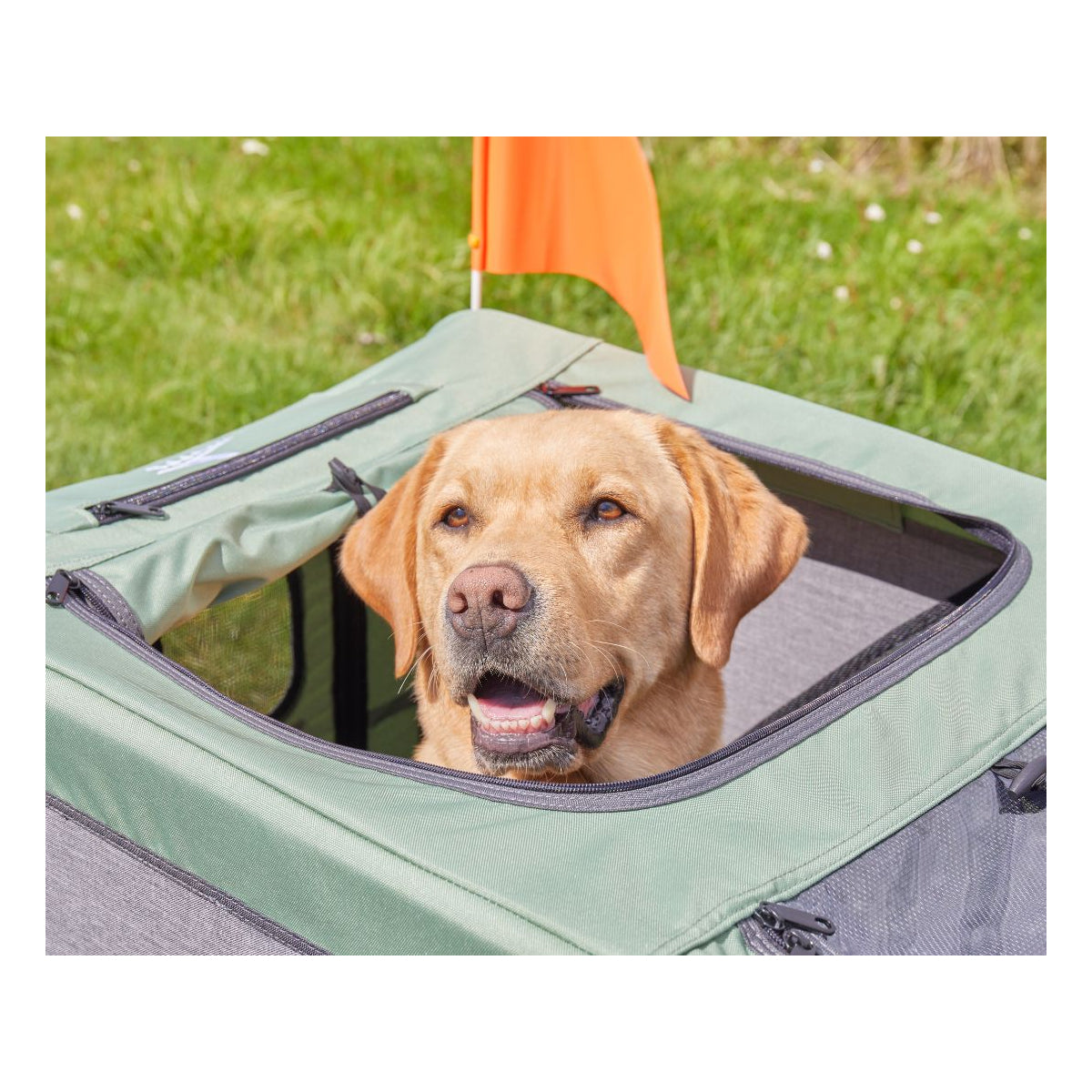 Knuffelwuff Cruvado L-XL komfortabler Hundeanhänger mit Stoßdämpfer Fahrradanhänger und Buggy für sichere Ausflüge mit dem Fahrrad