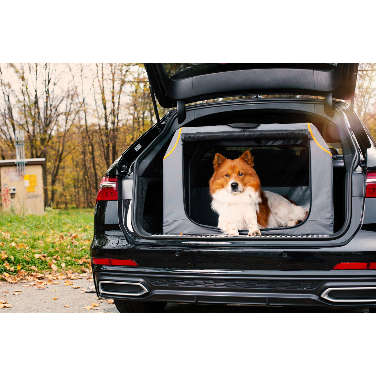 Knuffelwuff faltbare Hundebox Auto Transportbox Alverstone mit Aluminiumgestell für den Kofferraum – M - 61 x 46 x 43 cm (Ansicht 2)