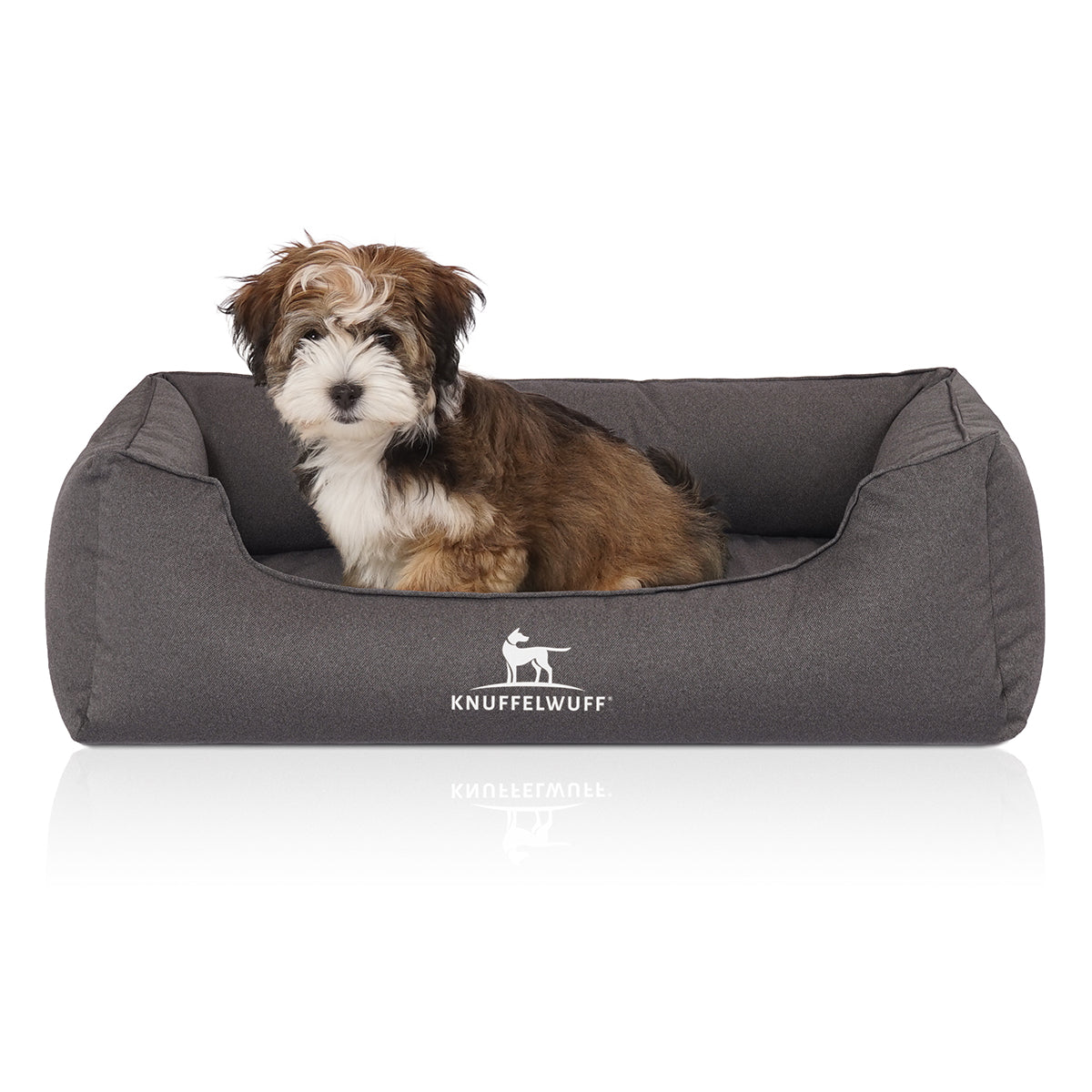 Knuffelwuff Hundebett Leon aus Velours, wasserabweisend Anthrazit XXXL
