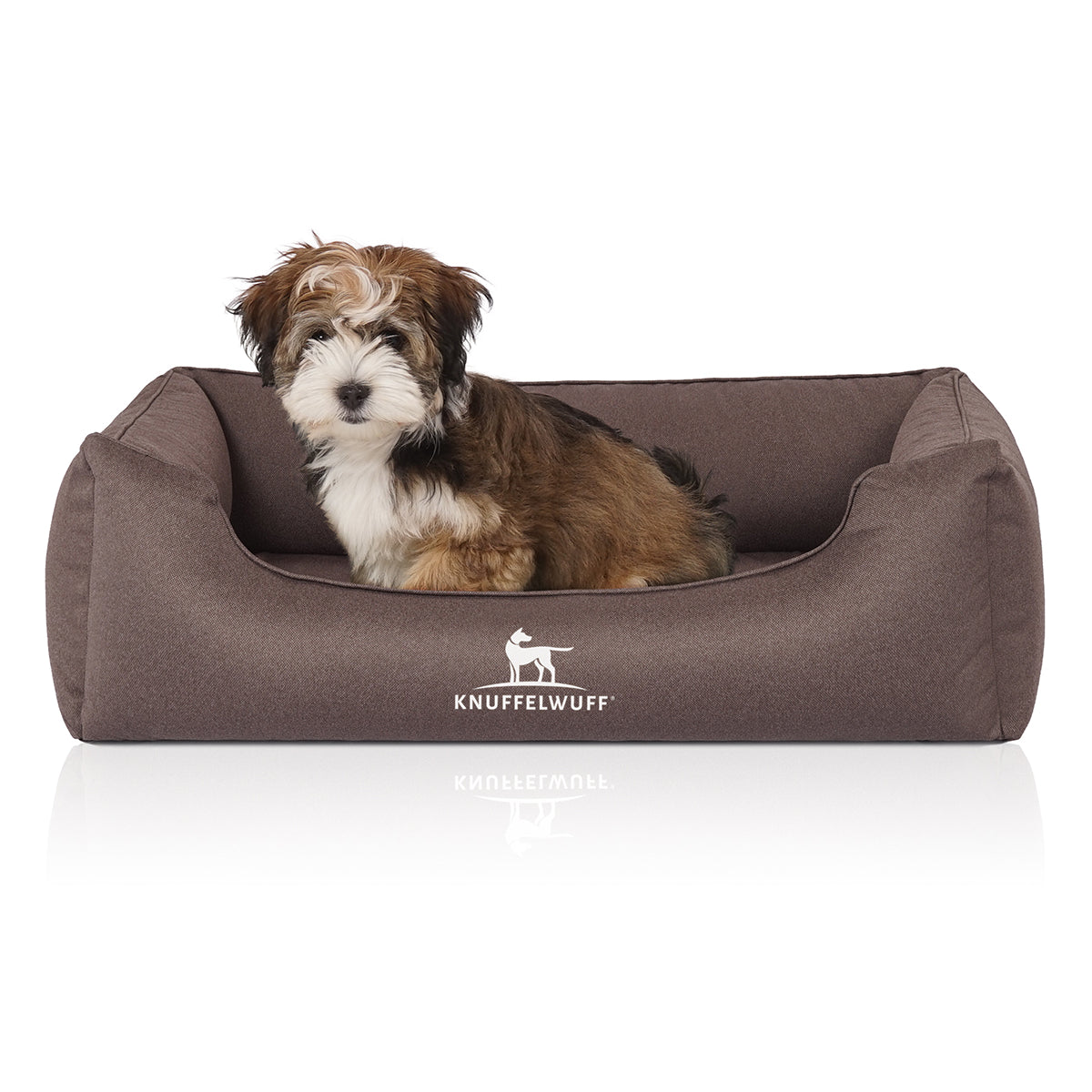 Knuffelwuff Hundebett Leon aus Velours, wasserabweisend Graubraun XXXL