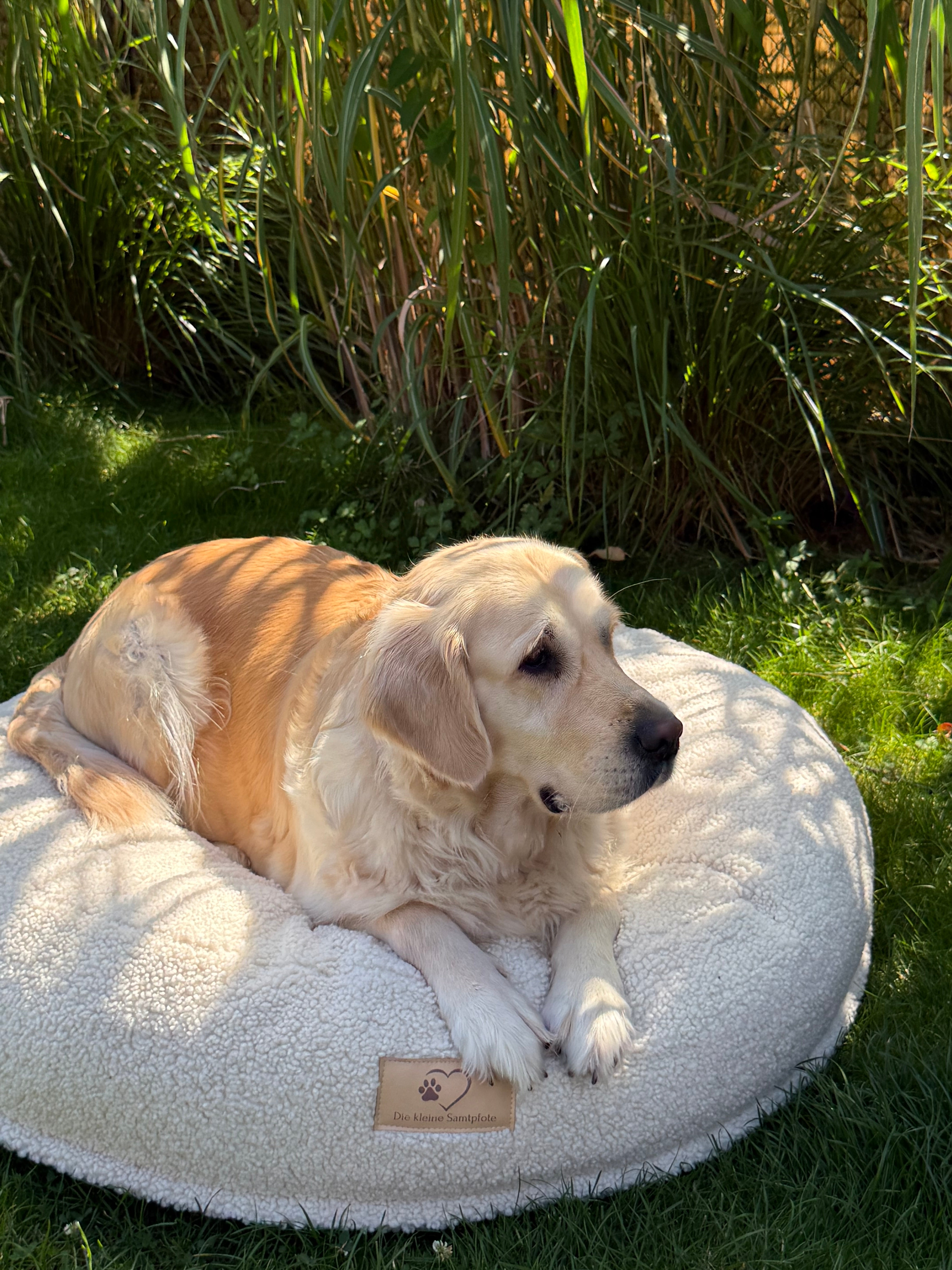Samtpfote orthopädisches Hundekissen Donut Teddy