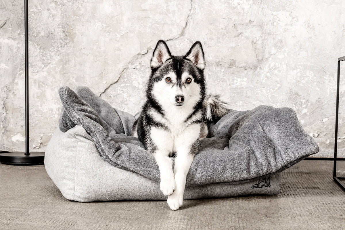 MOUNTAINDOG Hundedecke Emma Dunkelgrau