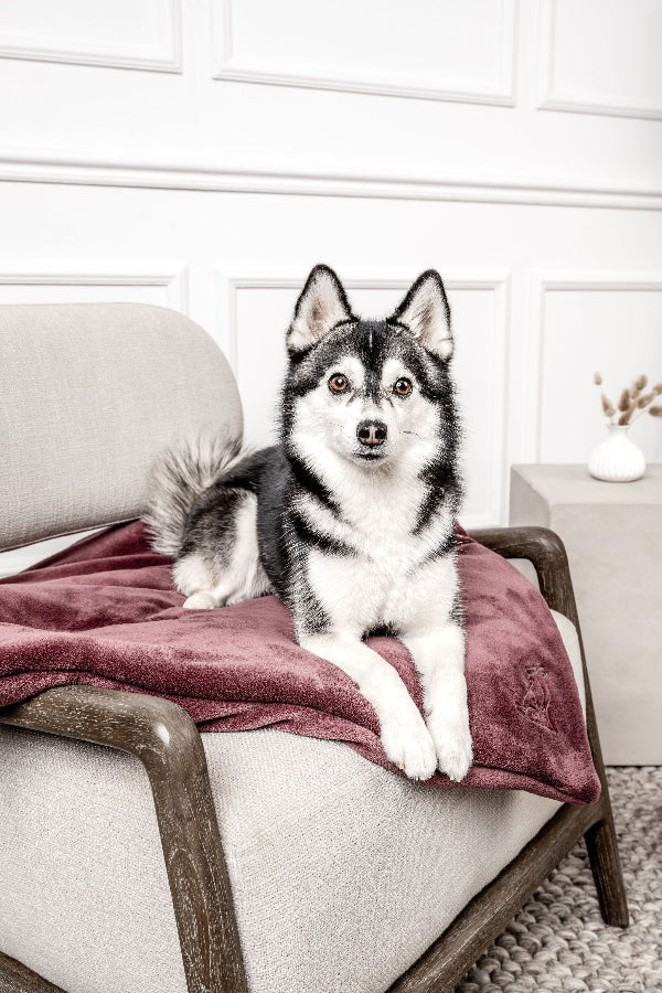 MOUNTAINDOG Hundedecke Emma Weinrot