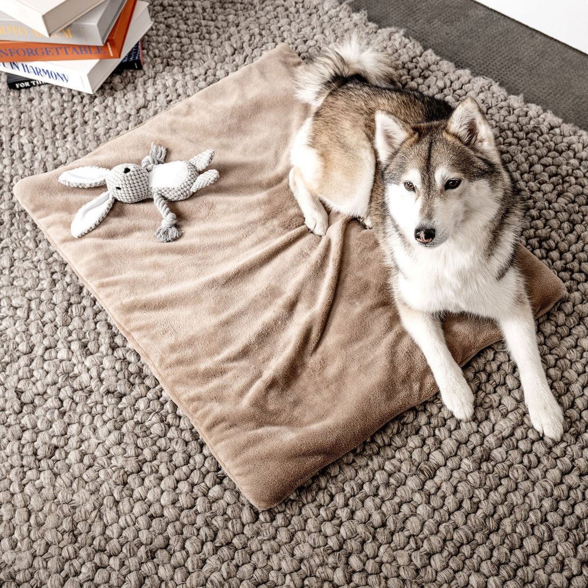 MOUNTAINDOG Hundespielzeug Hase Theo