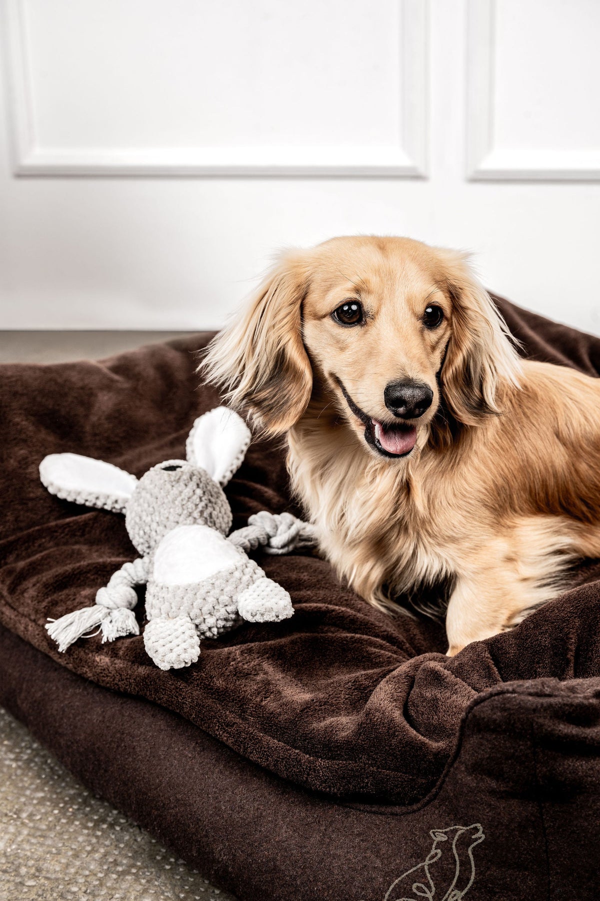 MOUNTAINDOG Hundespielzeug Hase Theo