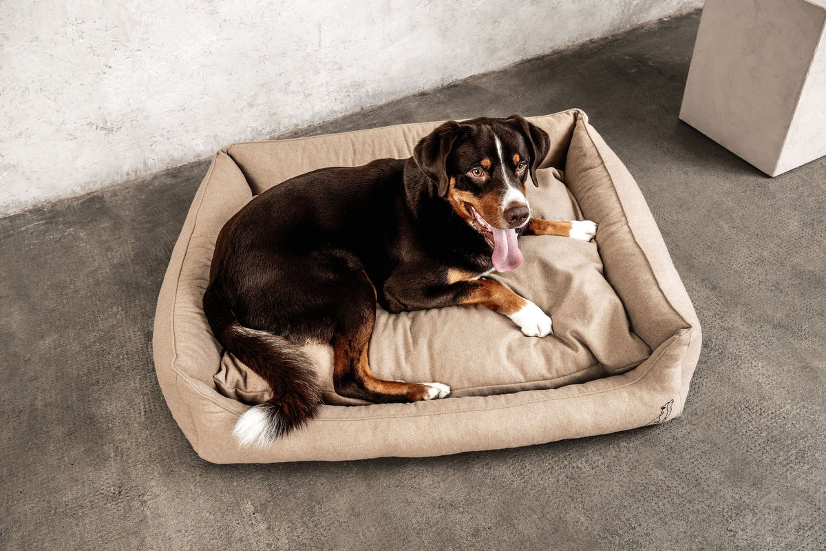 MOUNTAINDOG Hundebett Belle Beige