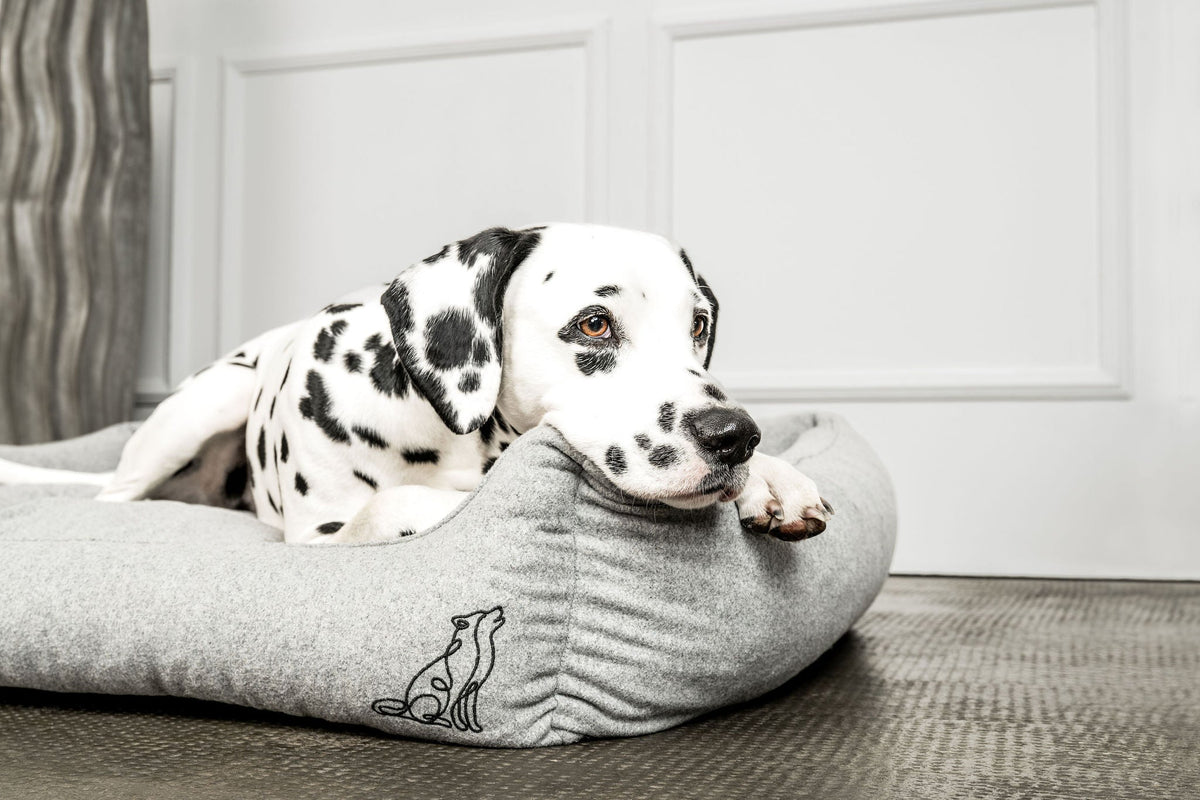 MOUNTAINDOG Hundebett Belle Hellgrau