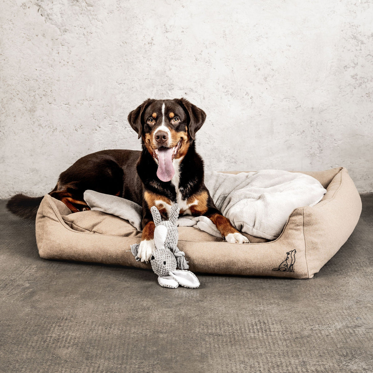 MOUNTAINDOG Dream-Duo Mix&Match
