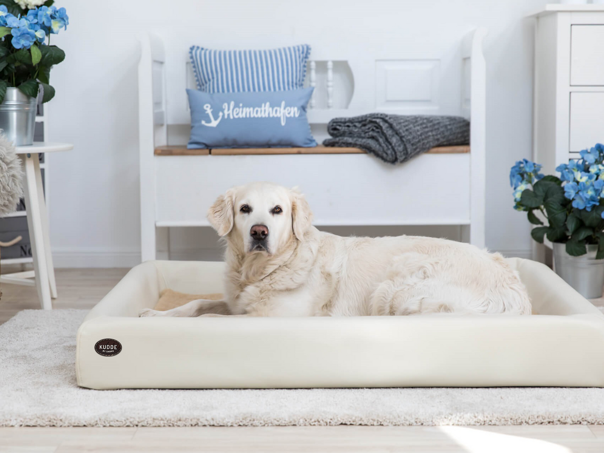 Hundebett KUDDE Kunstleder (weitere Ansicht)