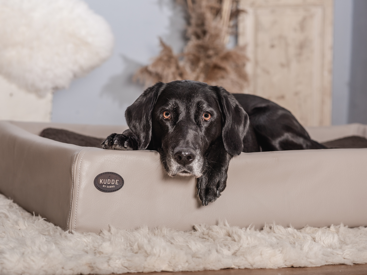 Hundebett KUDDE Kunstleder (weitere Ansicht)