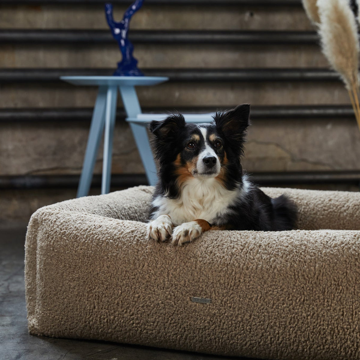 Buciano Bouclé Hundebett Oreo