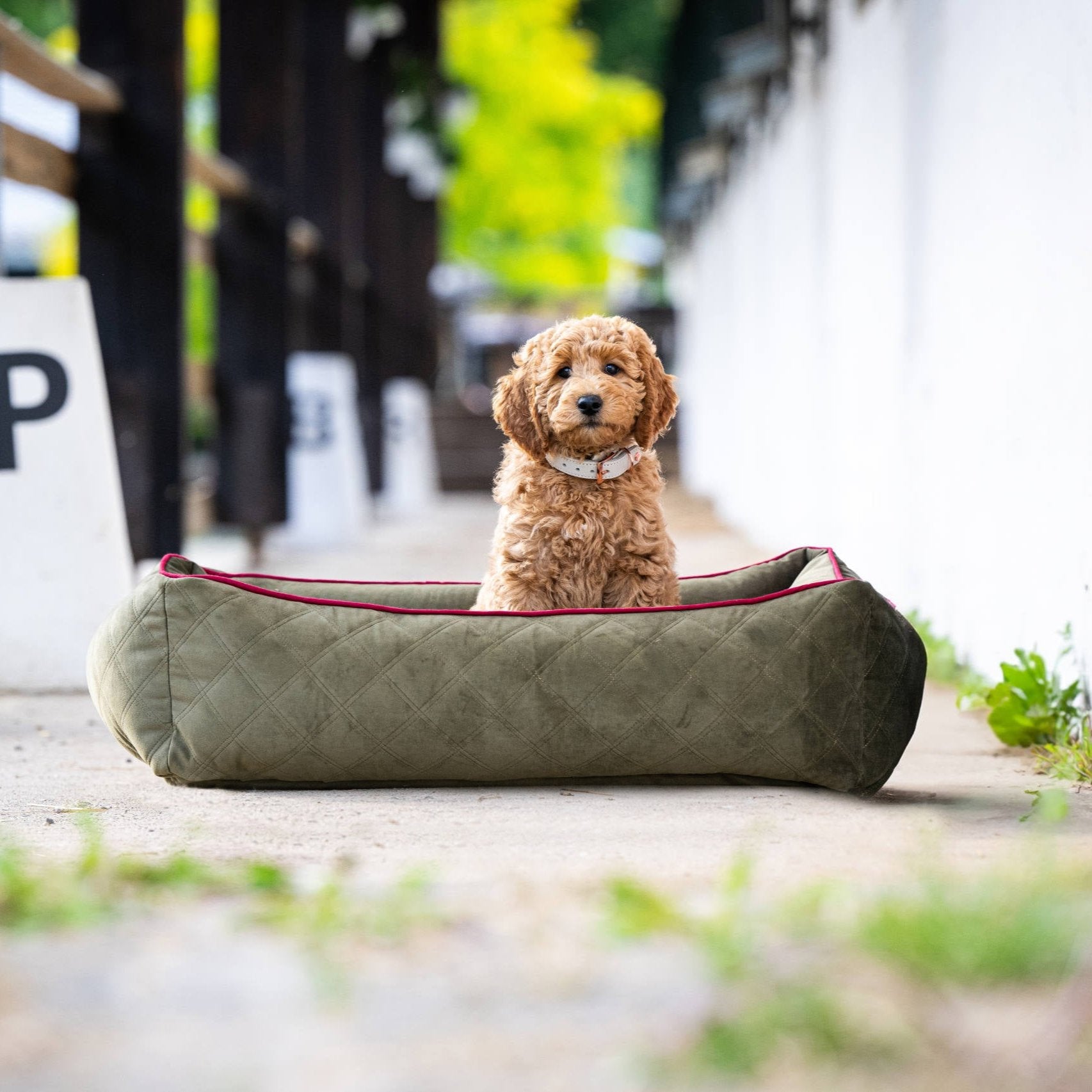 Laboni Hundebett OXFORD - Olive