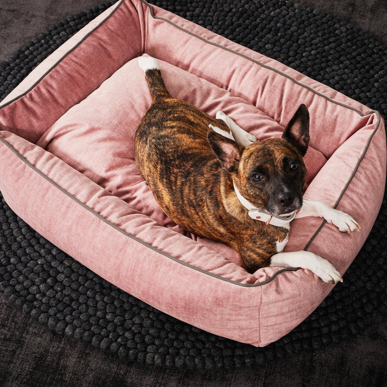 Laboni Hundebett Glam - Rose