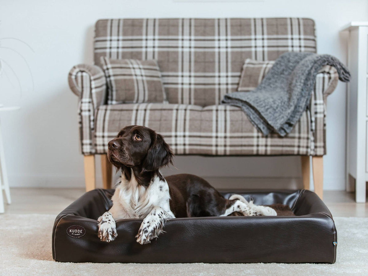 Hundebett KUDDE Kunstleder (weitere Ansicht)