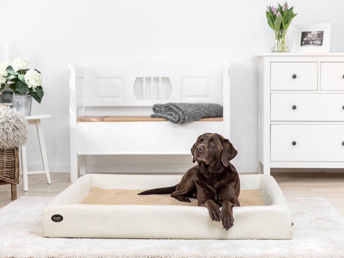 Hundebett KUDDE Kunstleder (weitere Ansicht)