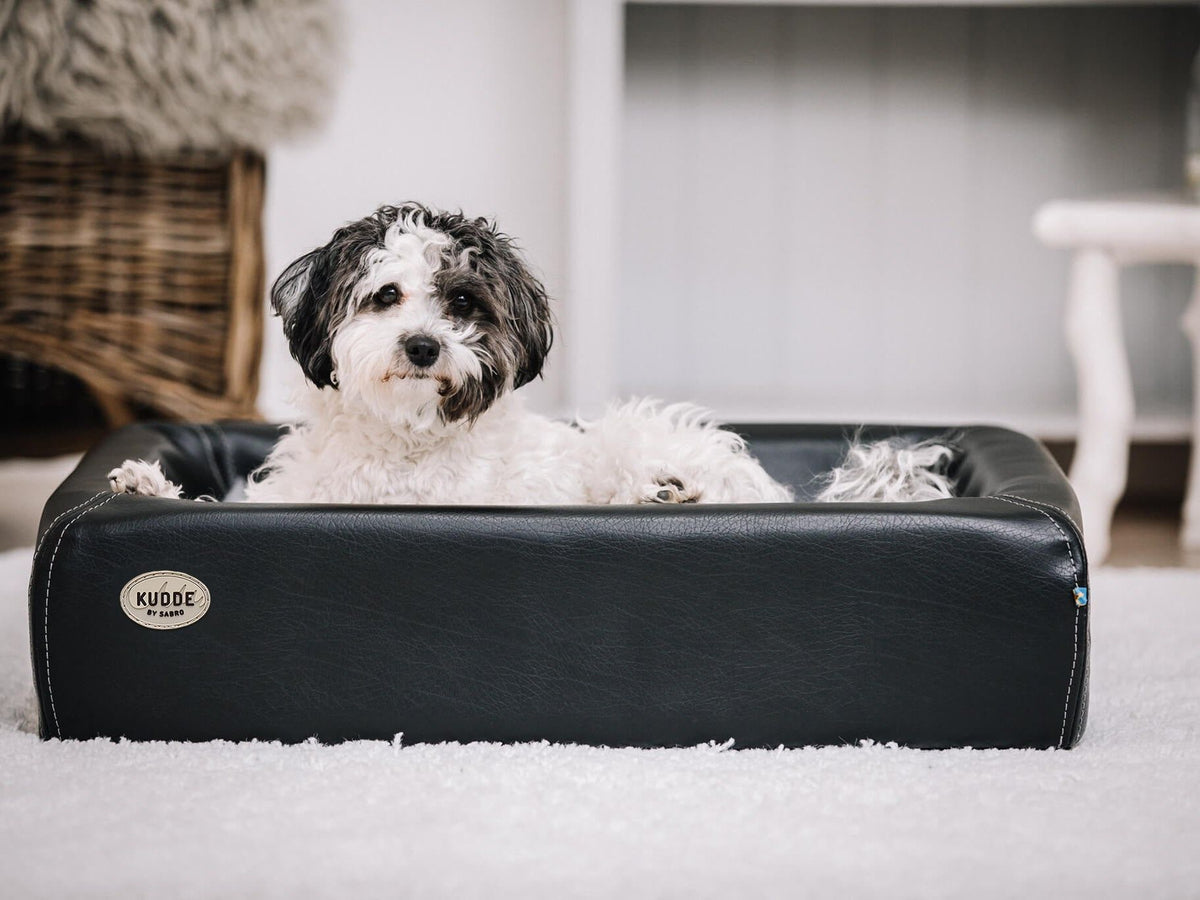 Hundebett KUDDE Kunstleder (weitere Ansicht)