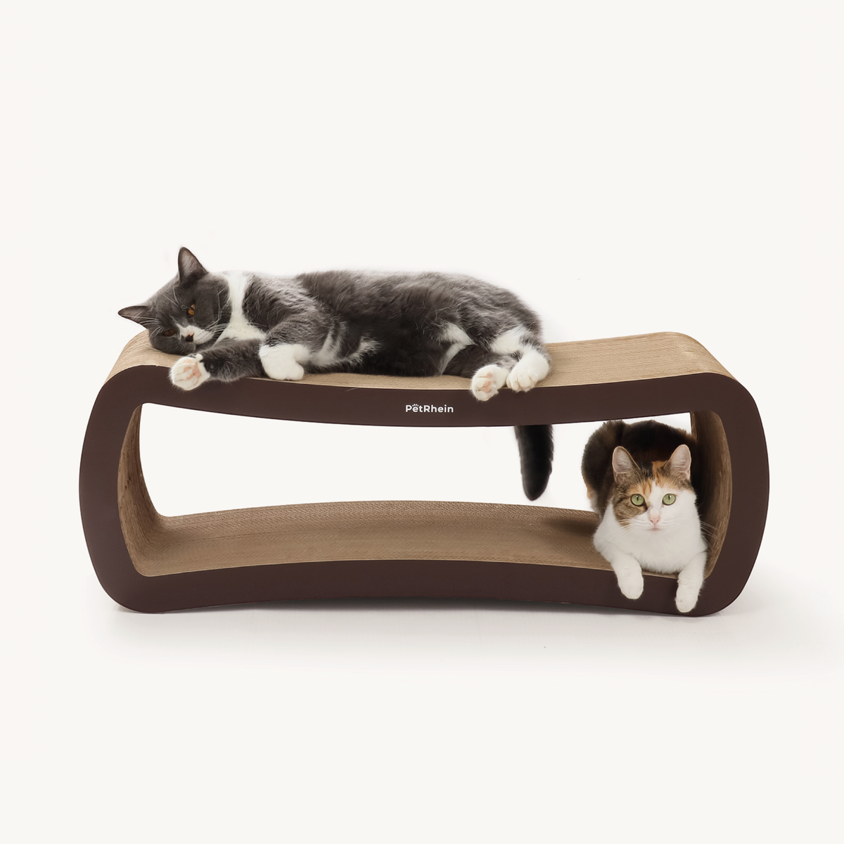 Ascent Paw