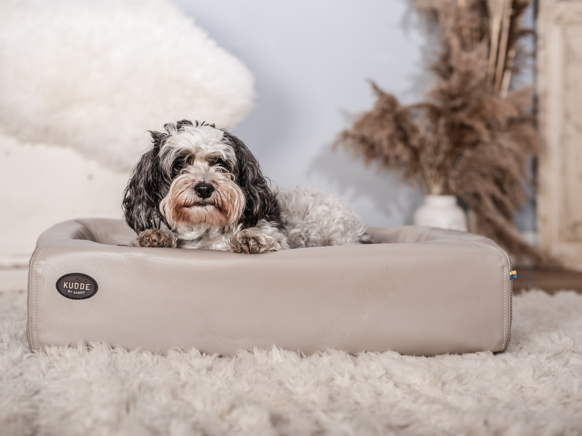 Hundebett KUDDE Kunstleder (weitere Ansicht)