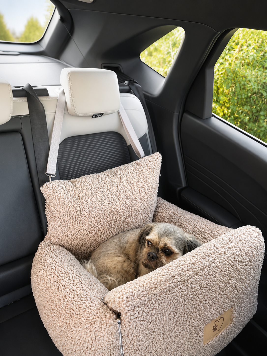 Samtpfote Autositz für Hunde Teddy - 45x50x45cm